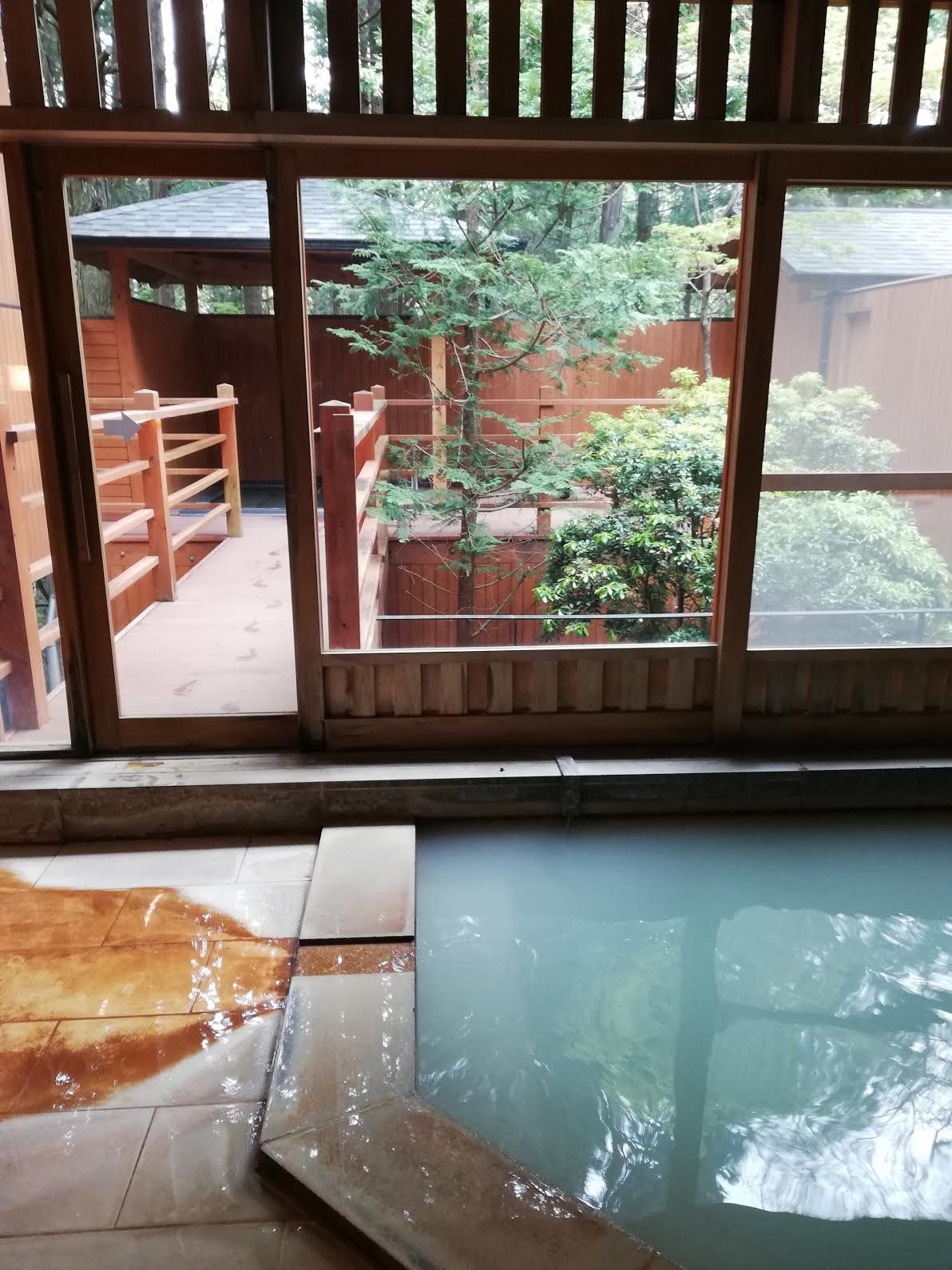 Milky hot spring water, with the garden beyond the glass.