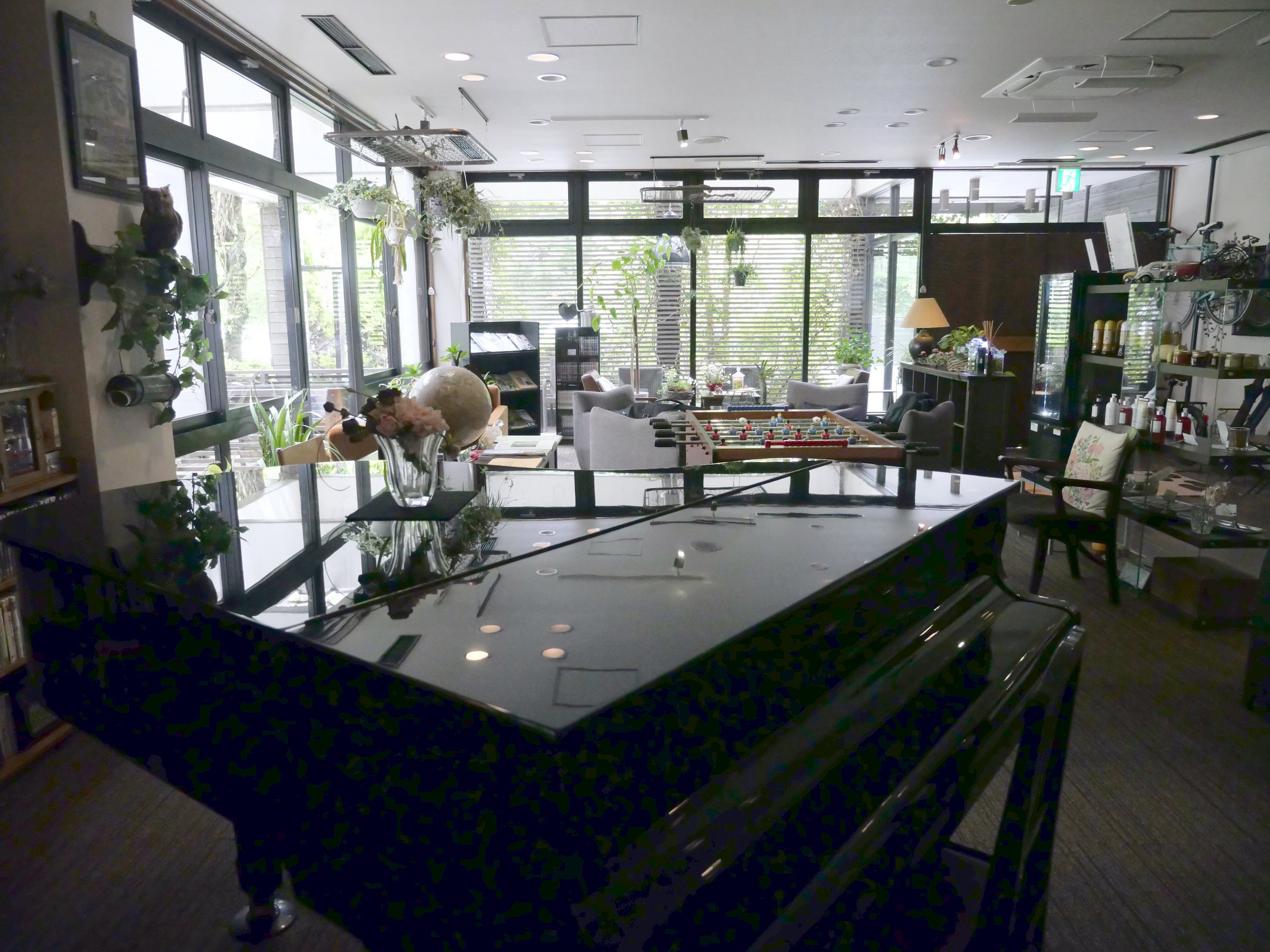 Floor-to-ceiling glass and the forest beyond.