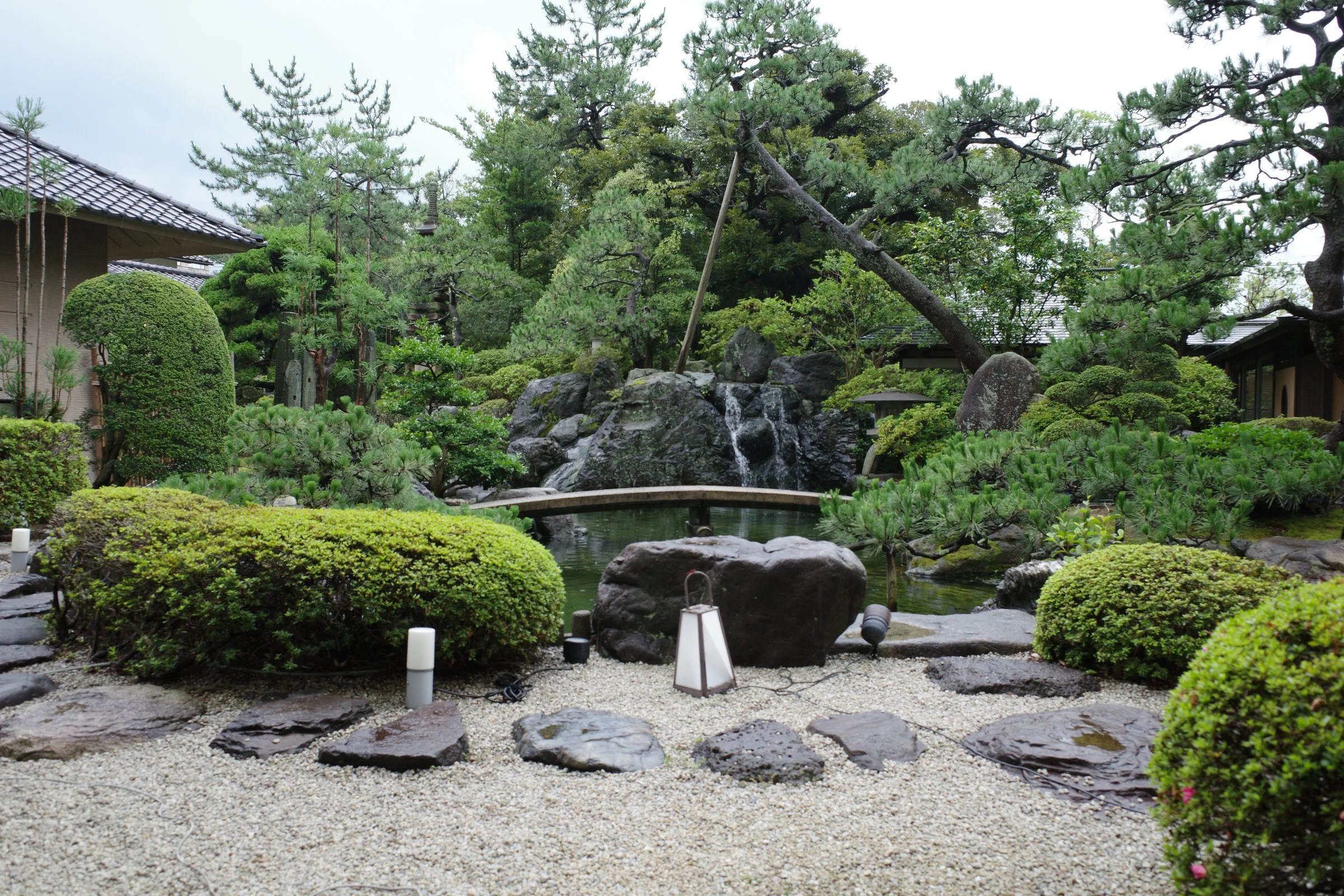 The courtyard garden: pines, clipped shrubs, rocks and stepping stones.