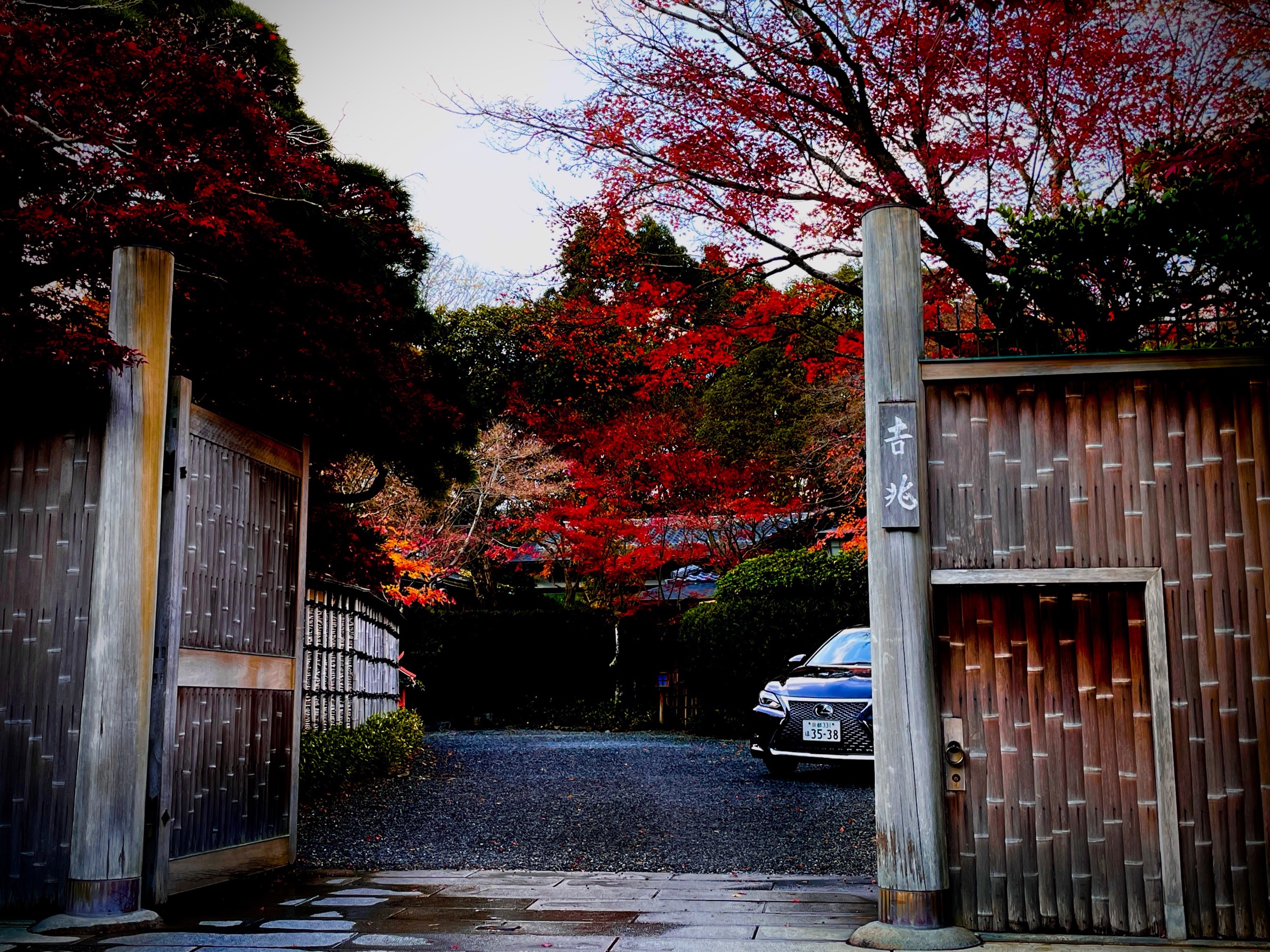 Autumn maples over the approach — Kyoto at its most painterly.