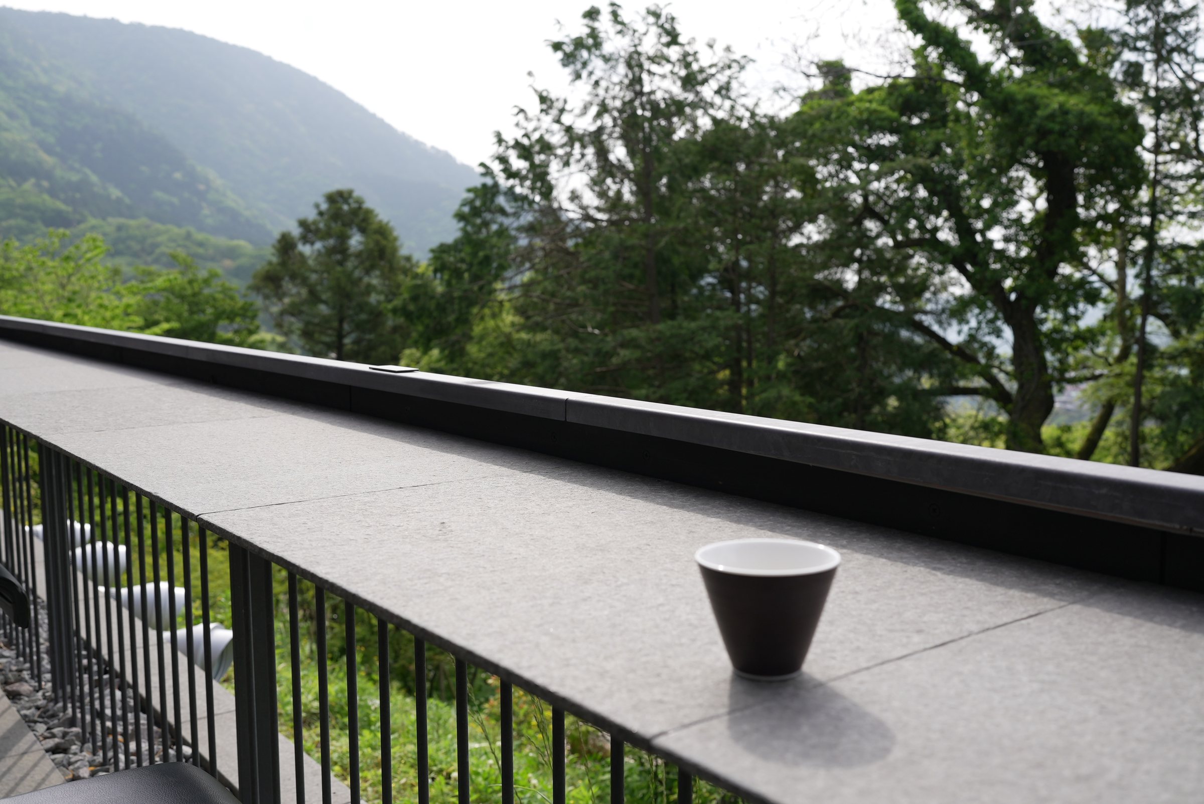 Morning coffee on the terrace, the hills in fresh leaf.