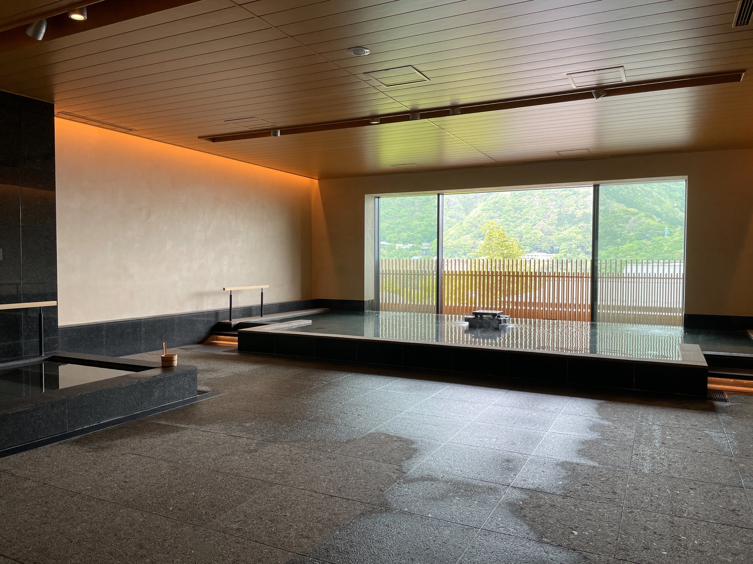 A large indoor bath, its window filled with mountainside.