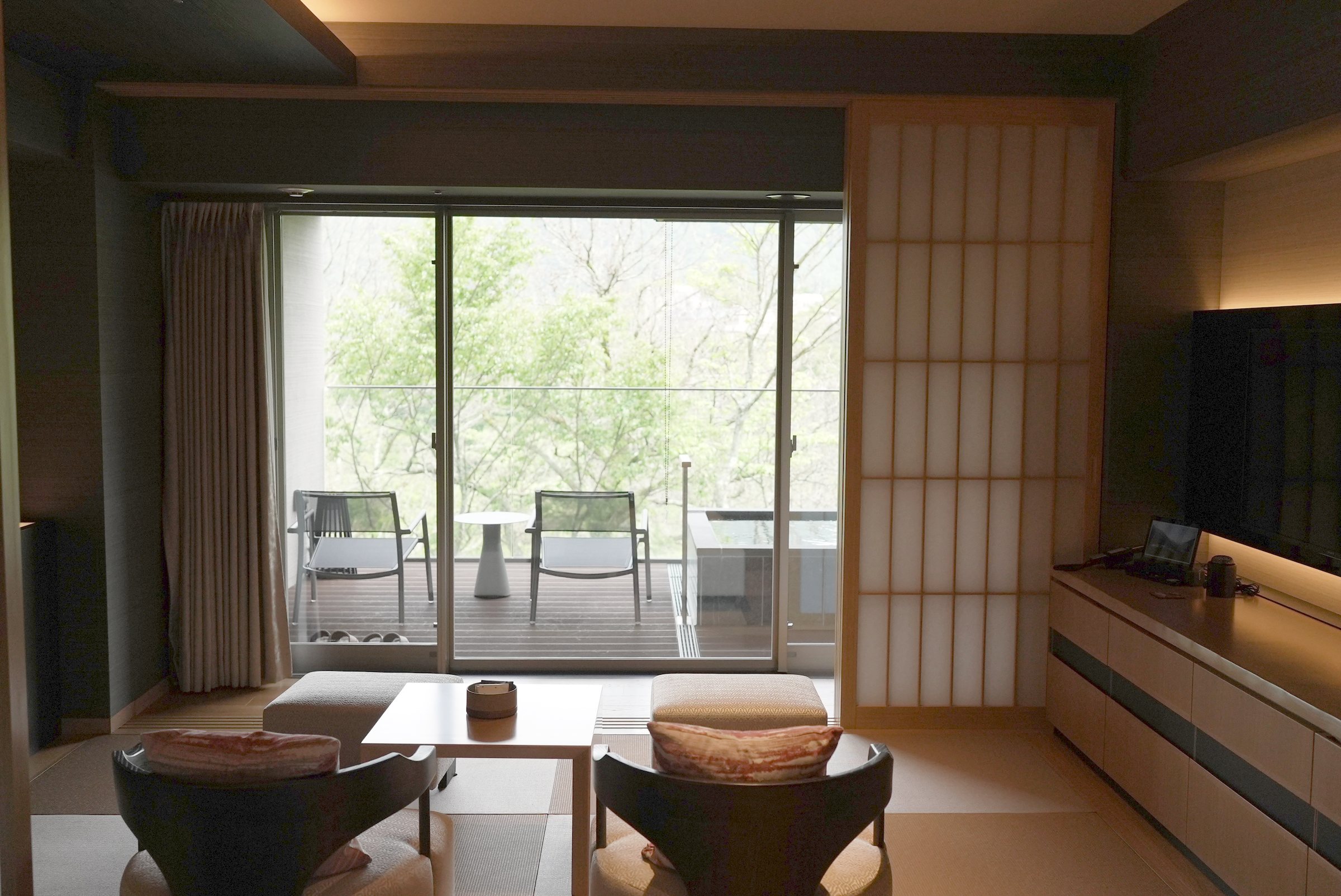 The sitting area, opening onto a terrace and the trees beyond.