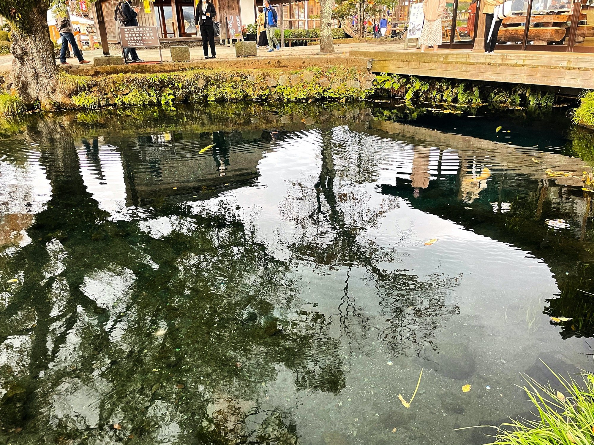 One of Oshino Hakkai's spring-fed ponds, perfectly clear, mirroring the trees.
