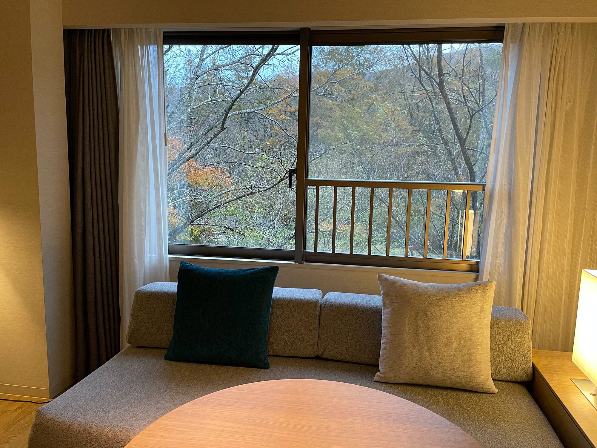A cushioned window seat looking out onto bare and turning trees.