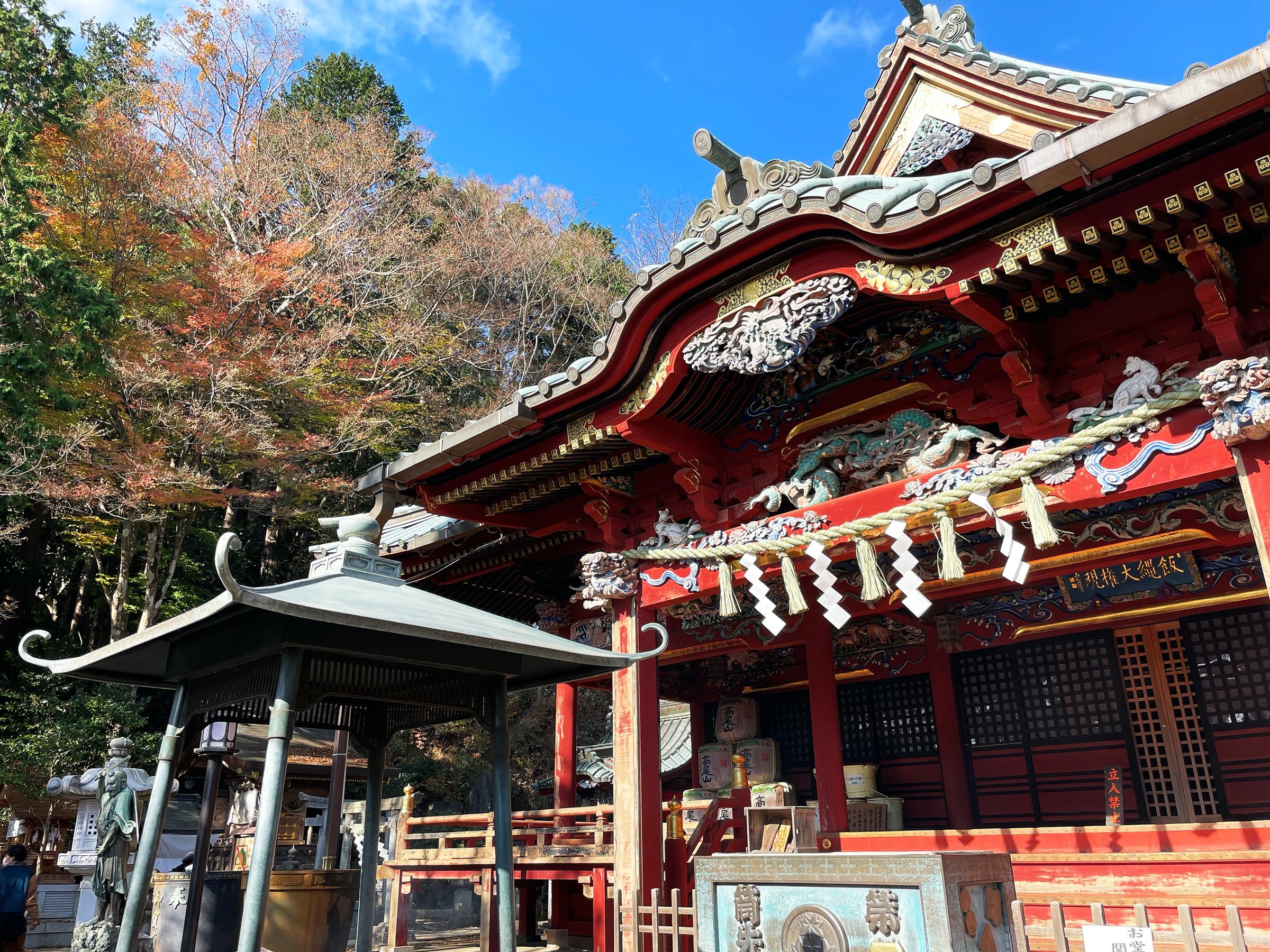 Yakuo-in on Mt Takao: a lacquered, intricately carved hall beneath turning maples.