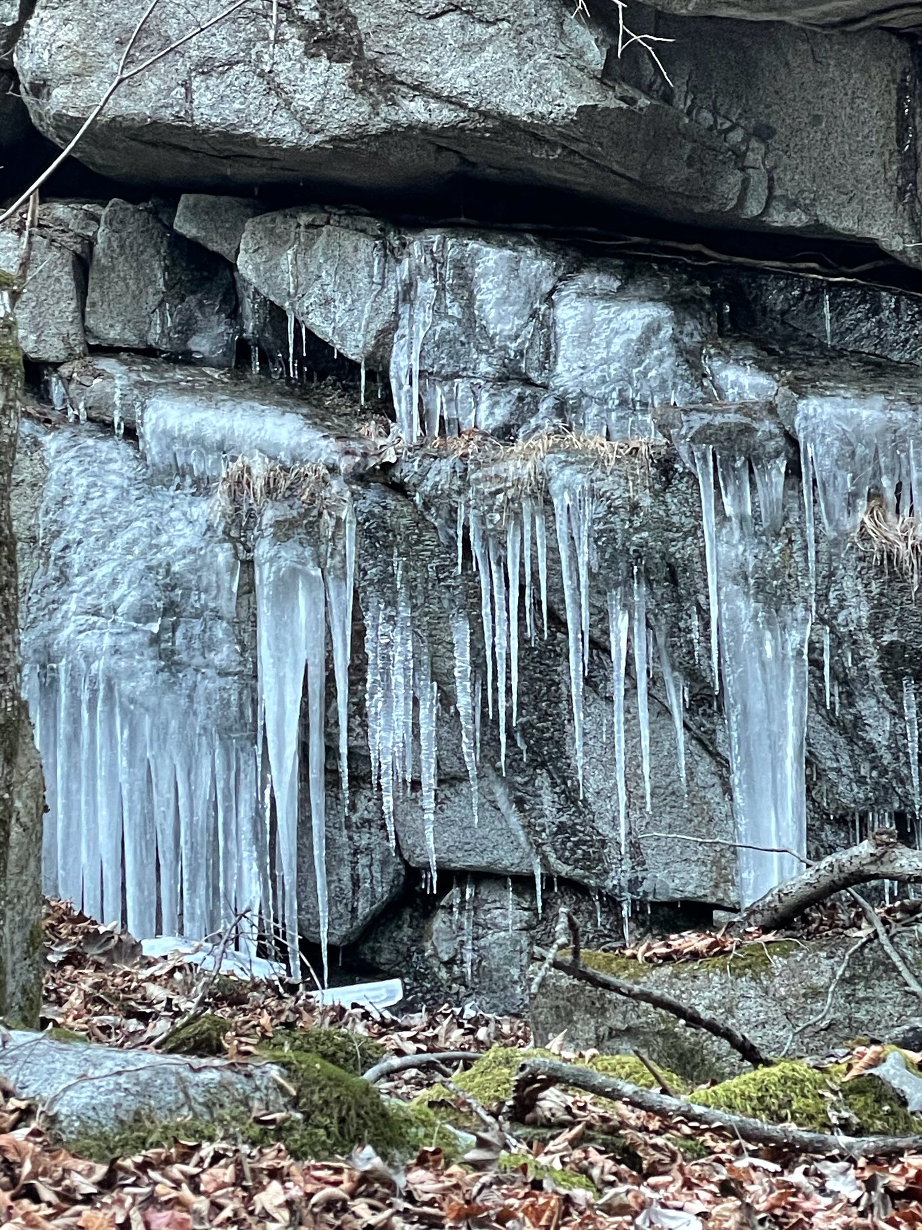 A curtain of icicles over the rock.