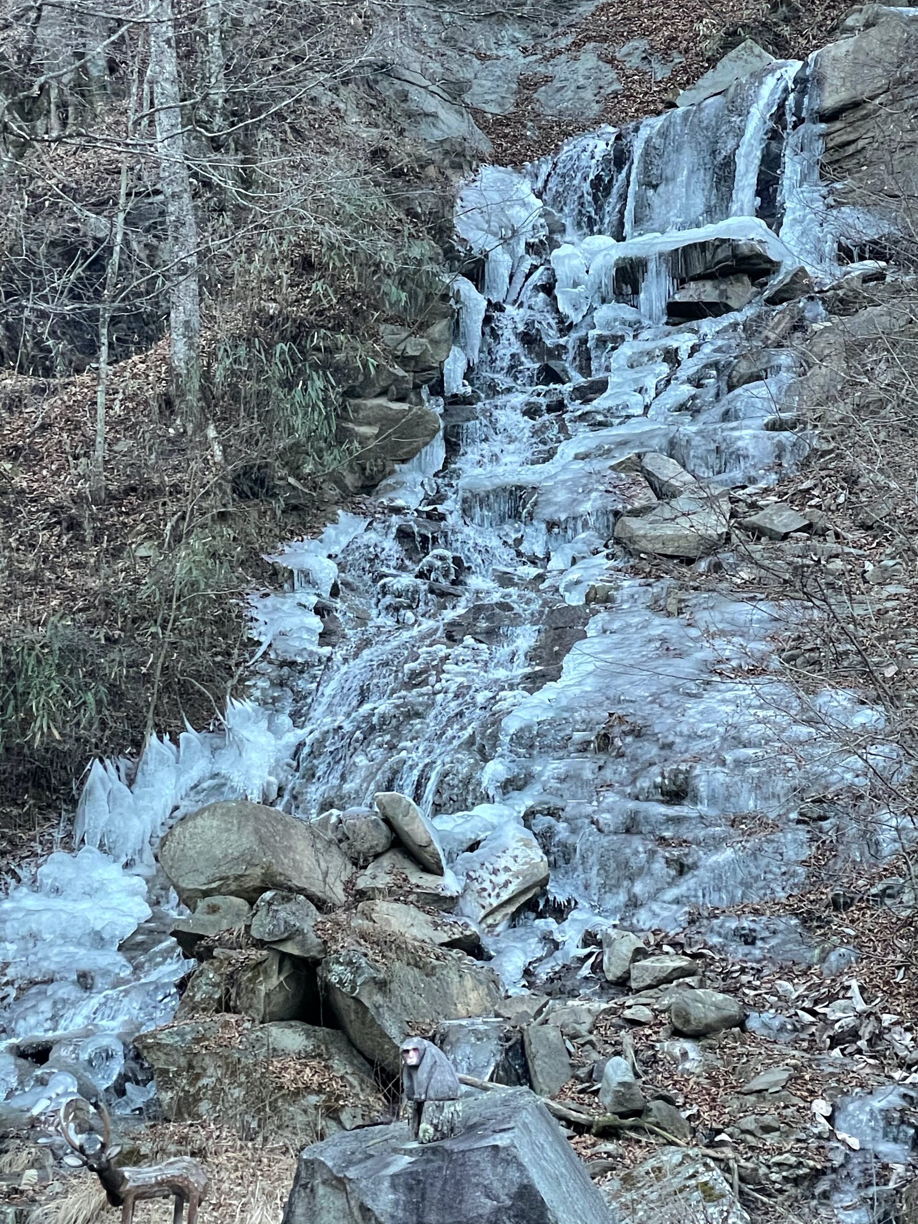 The stream, frozen in its tumble down the slope.