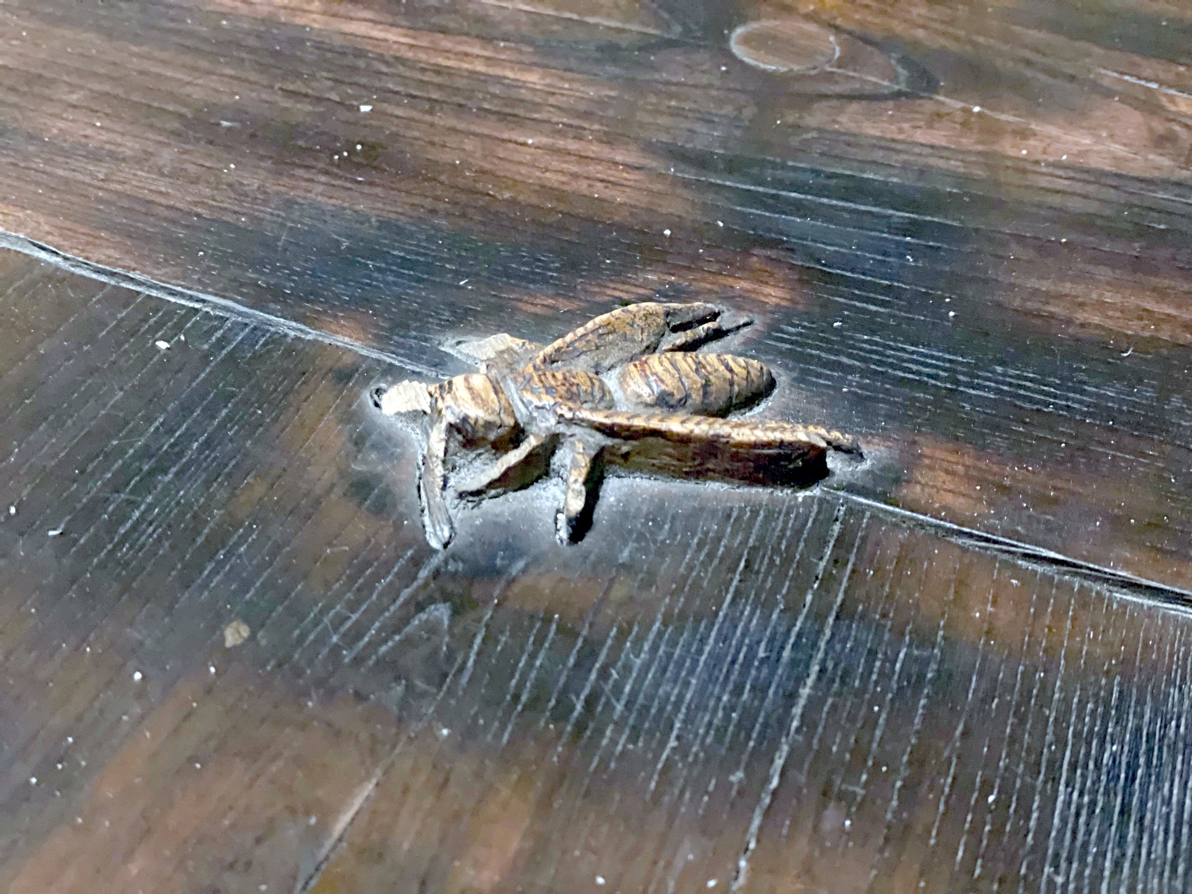 A carved wooden insect set into a dark timber surface.
