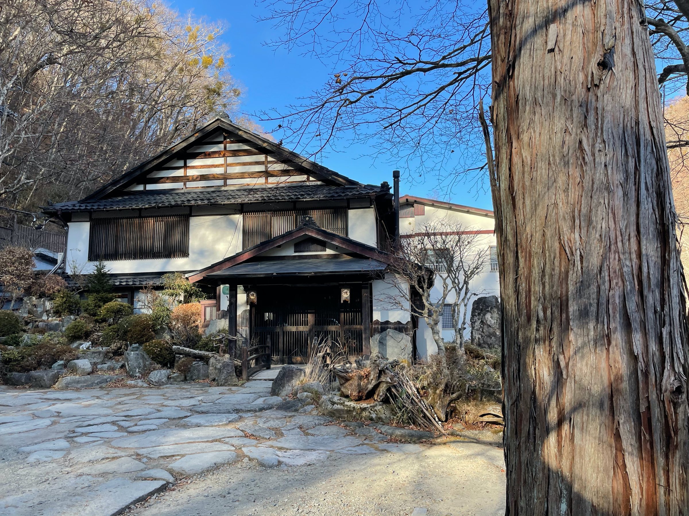 Sagashiokan in winter sun: a timber inn among bare trees and old cedars.