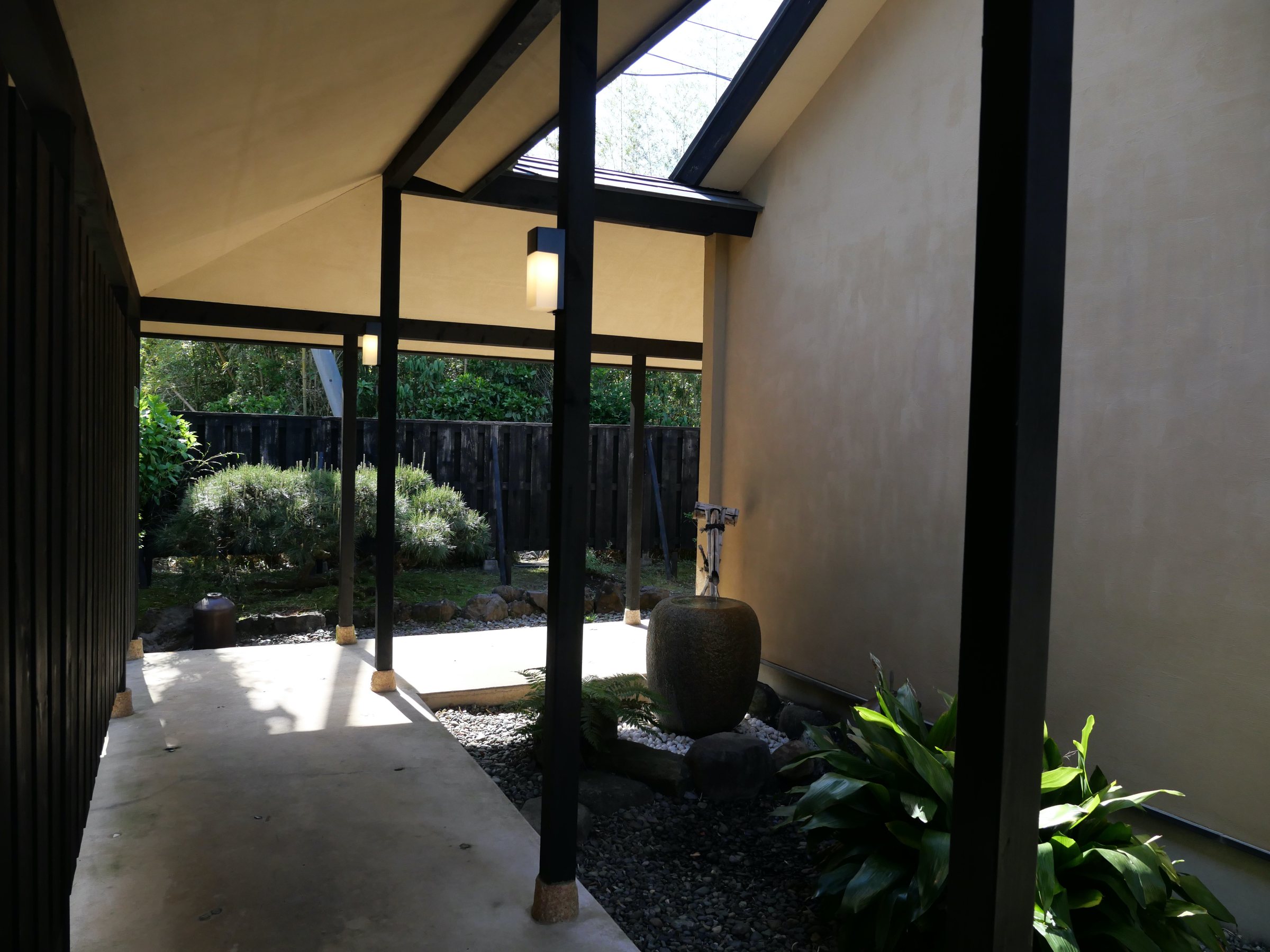 A corner of garden glimpsed from the corridor.