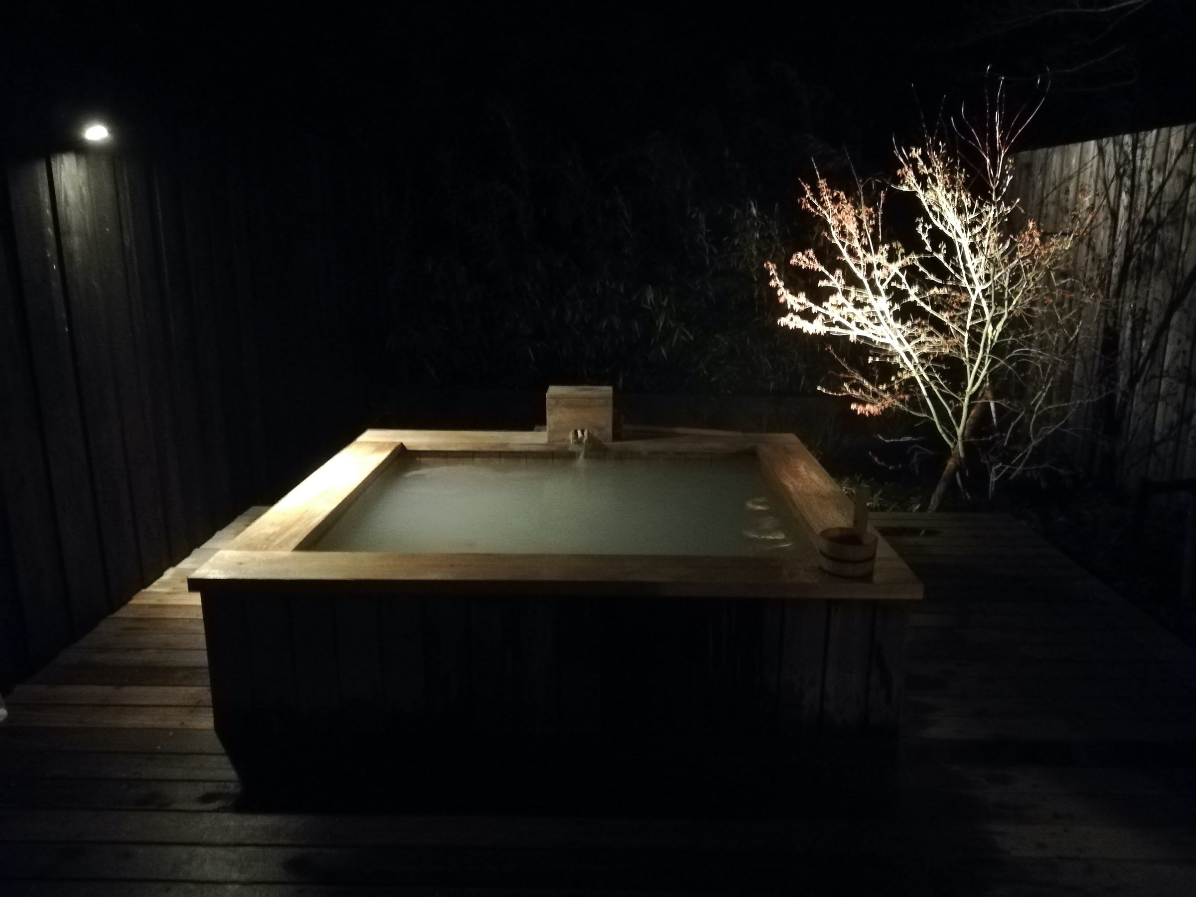 The same bath at night, a tree lit beside it.