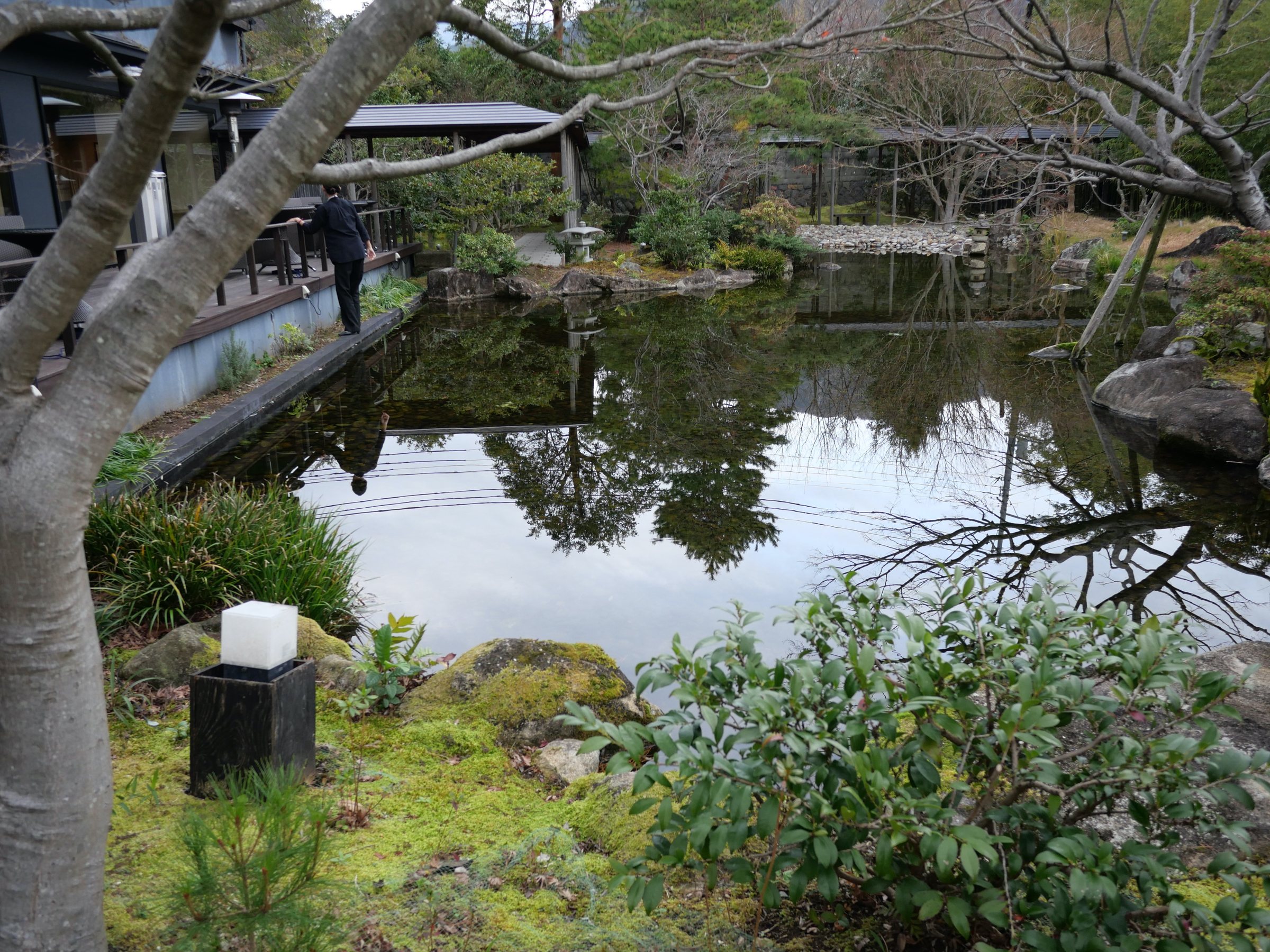The garden pond, mirroring trees and stone.