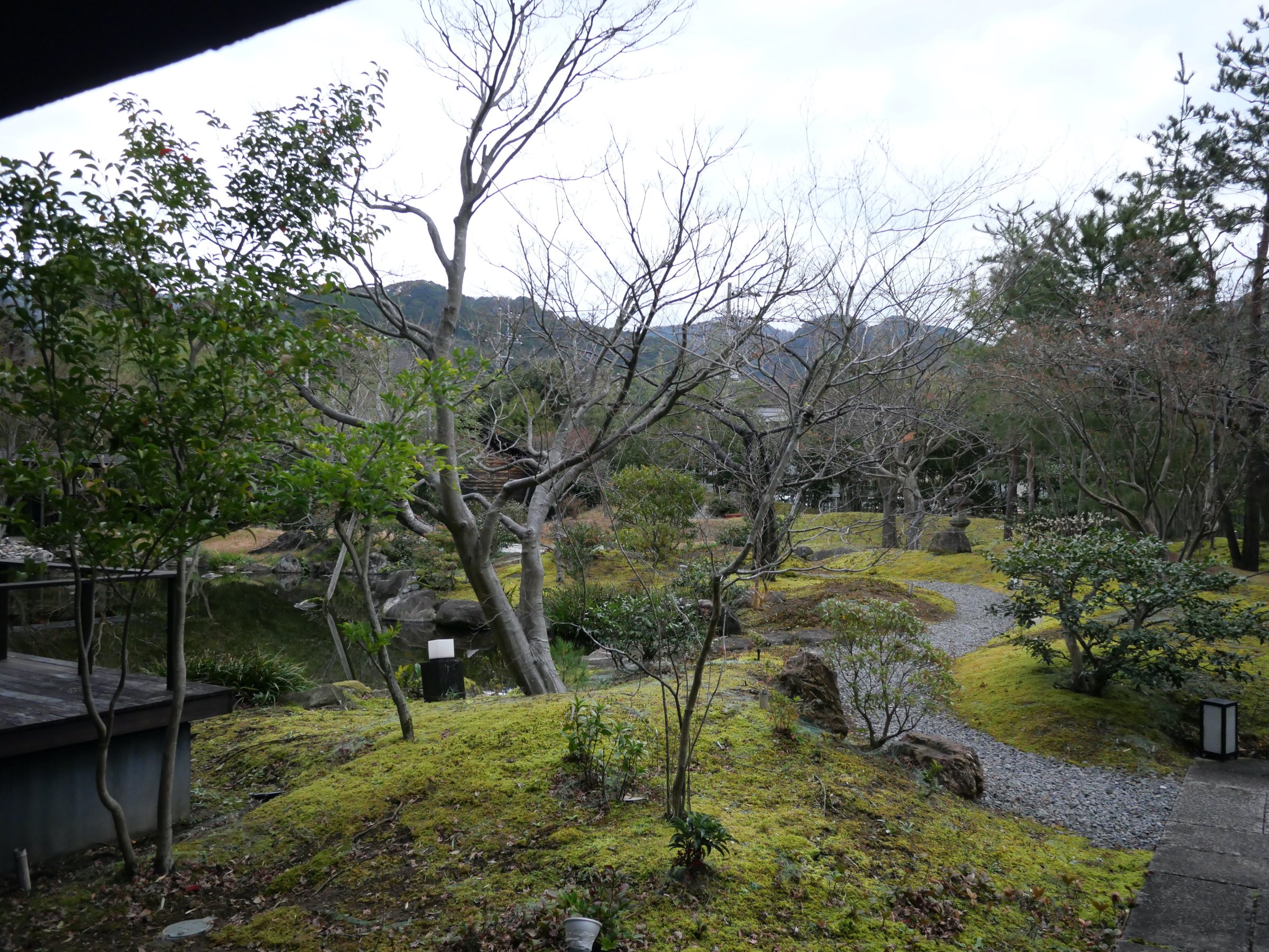Moss, winding paths and bare branches in the garden.
