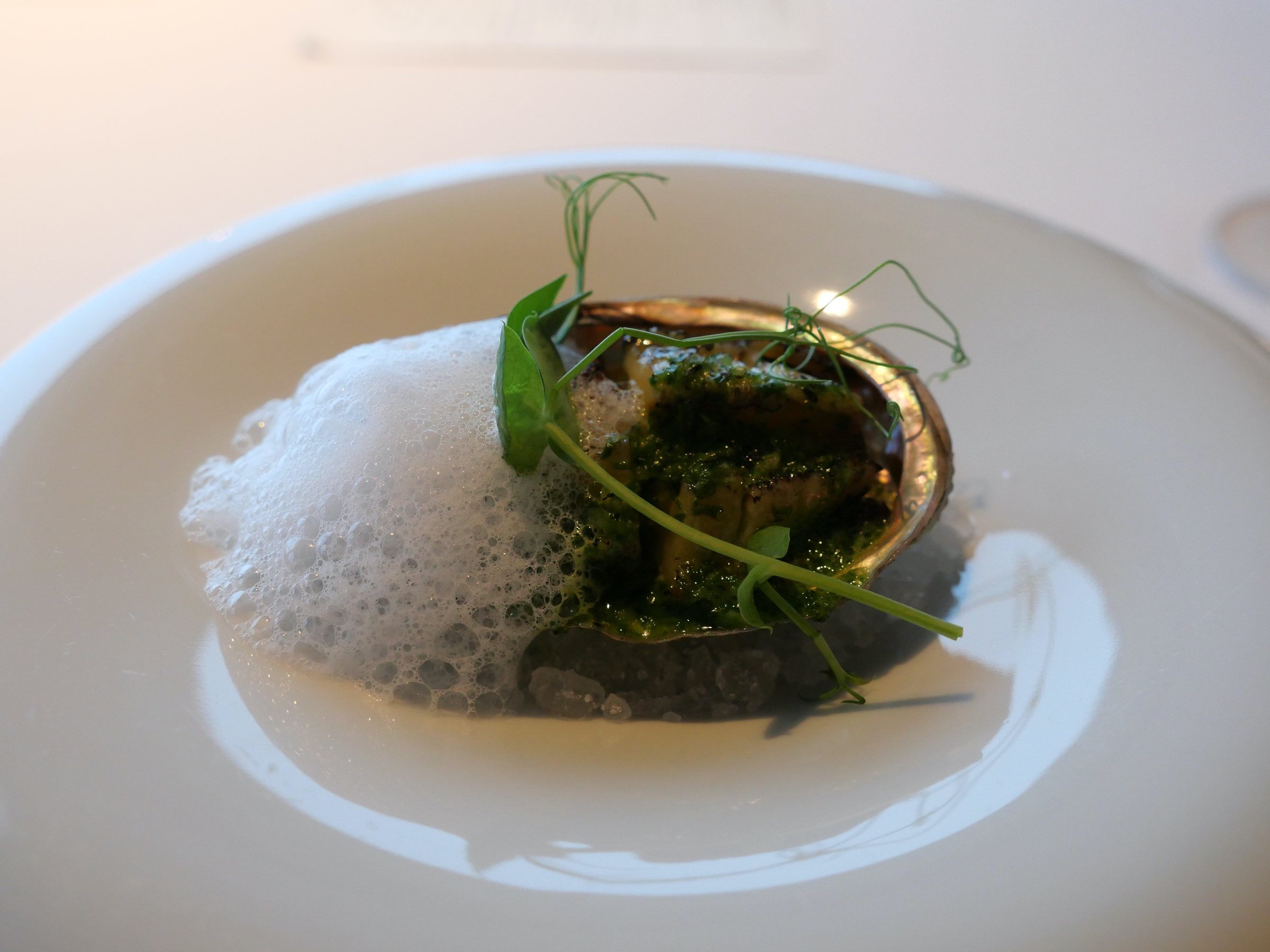 Abalone in its shell beneath a cloud of foam.