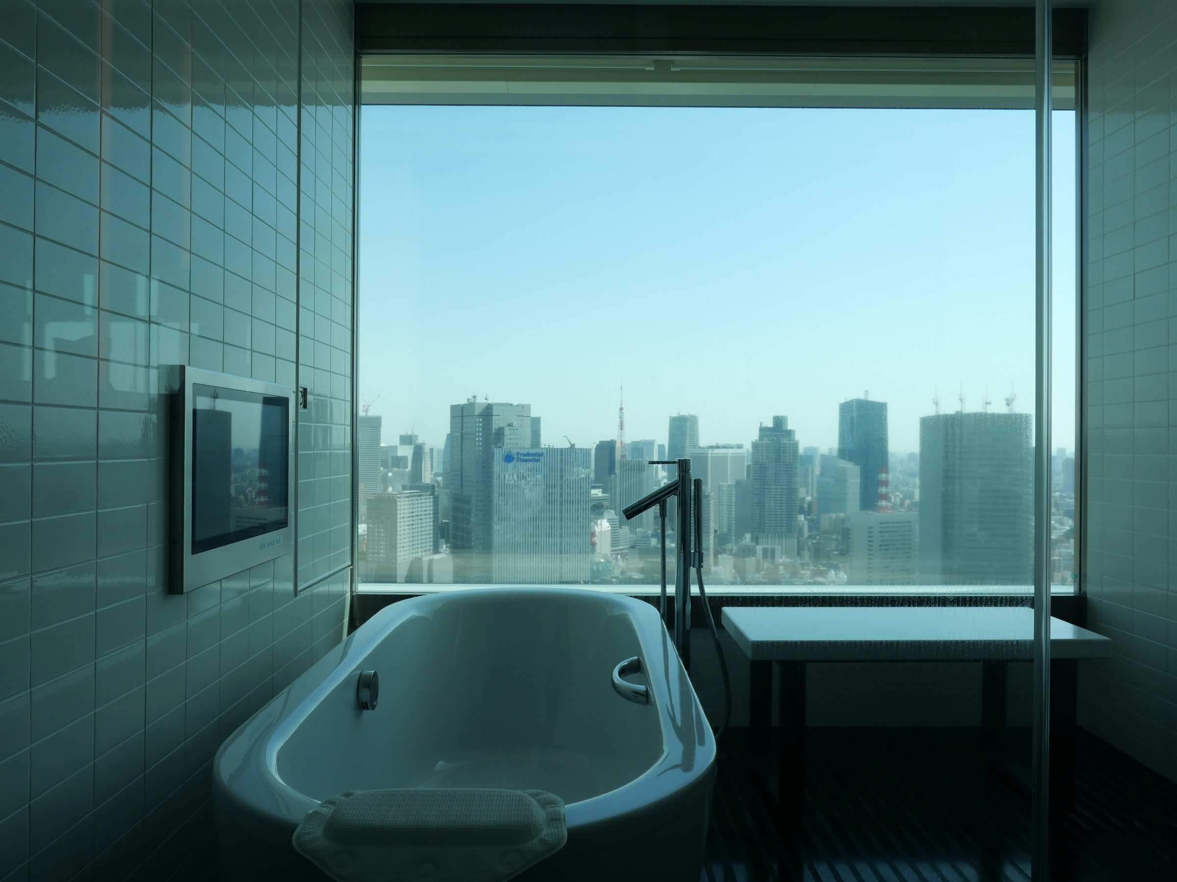 The bathtub before a window full of skyline.