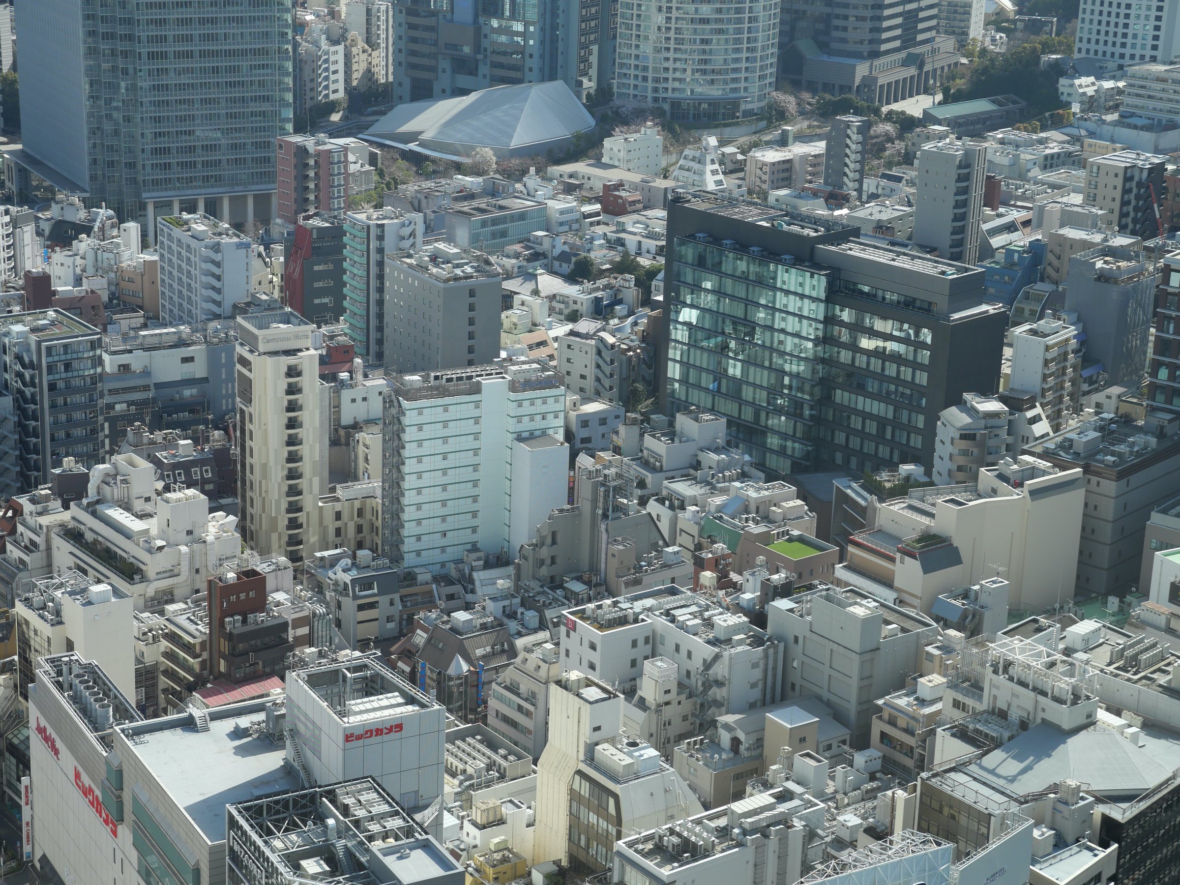 The city below, packed as tightly as a model.