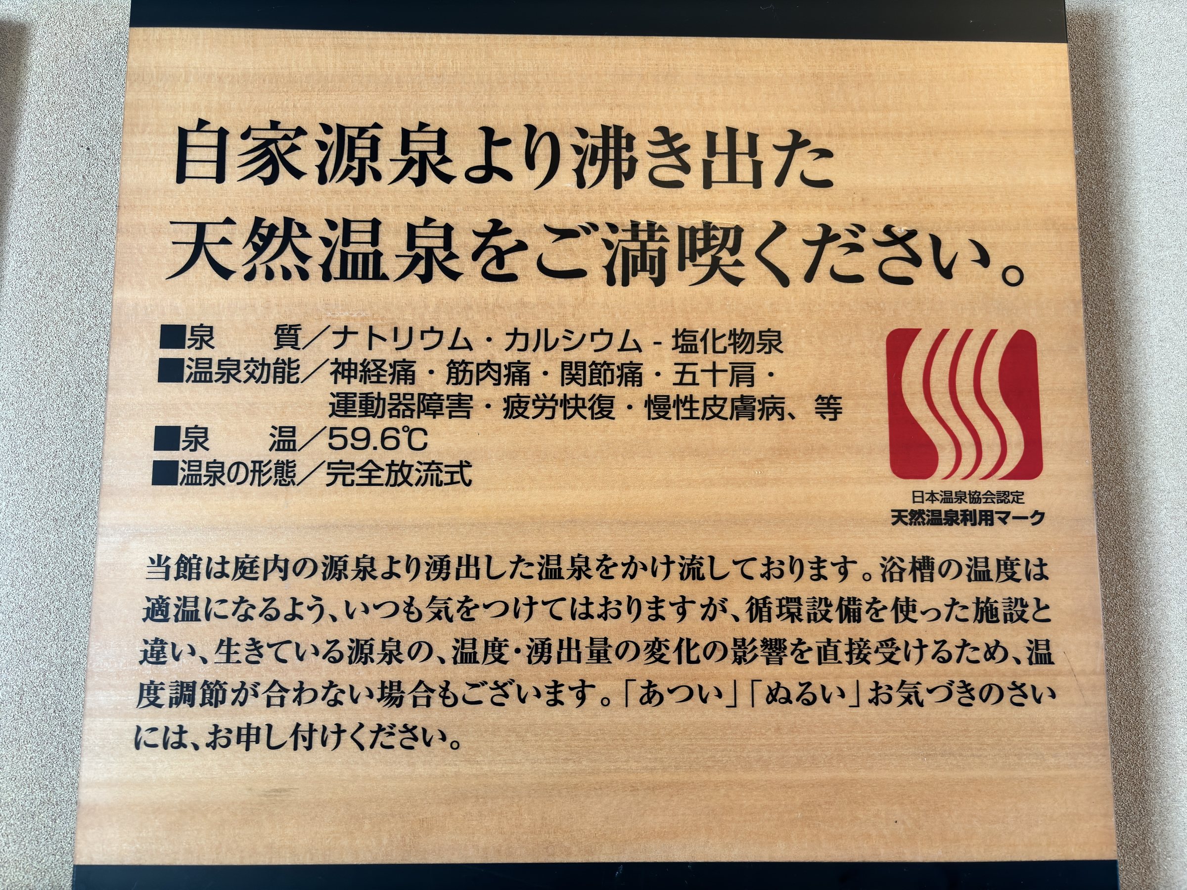 The spring's details: sodium–calcium chloride water at 59.6°C, flowing from the ryokan's own source.