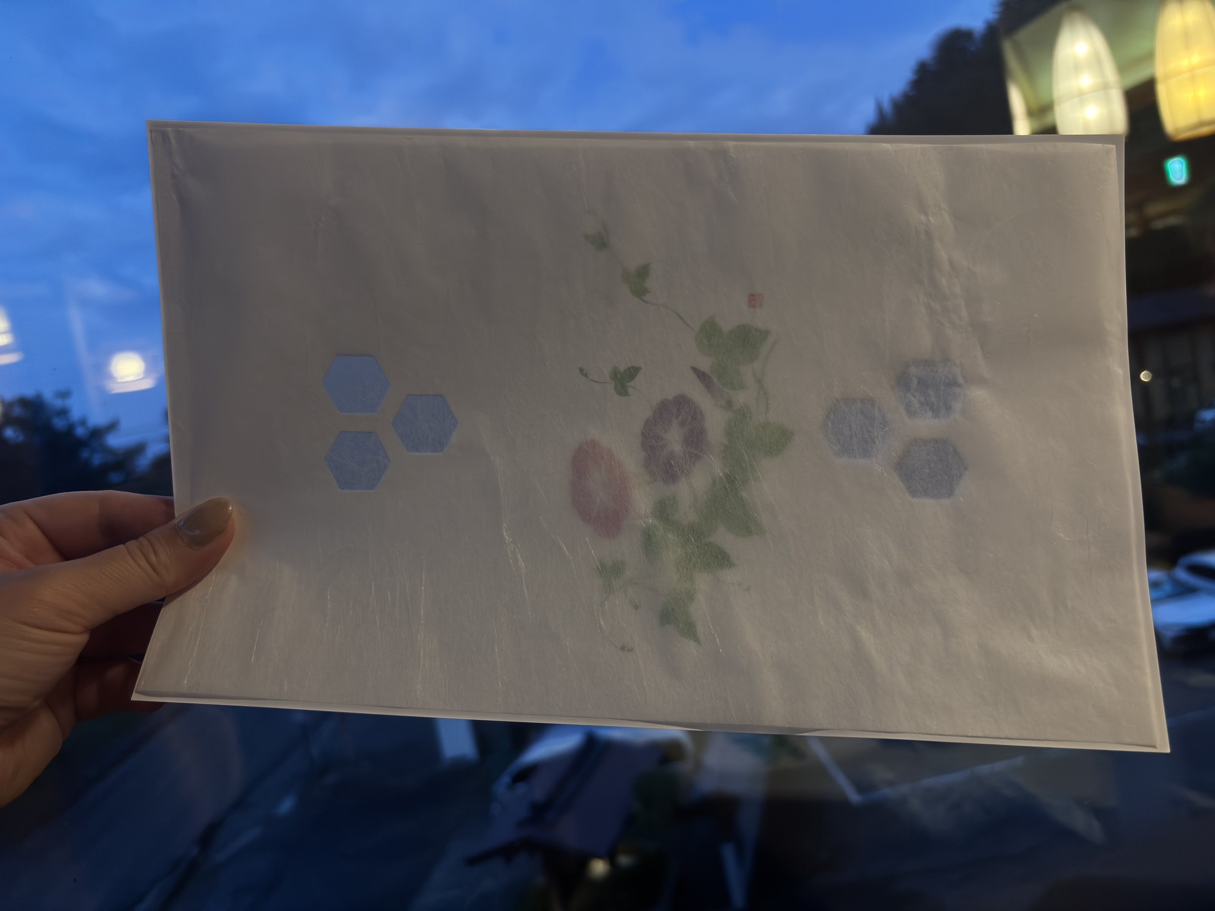 A hand-made paper cover with cut-out patterns of flowers and hexagons, held up to the evening sky.