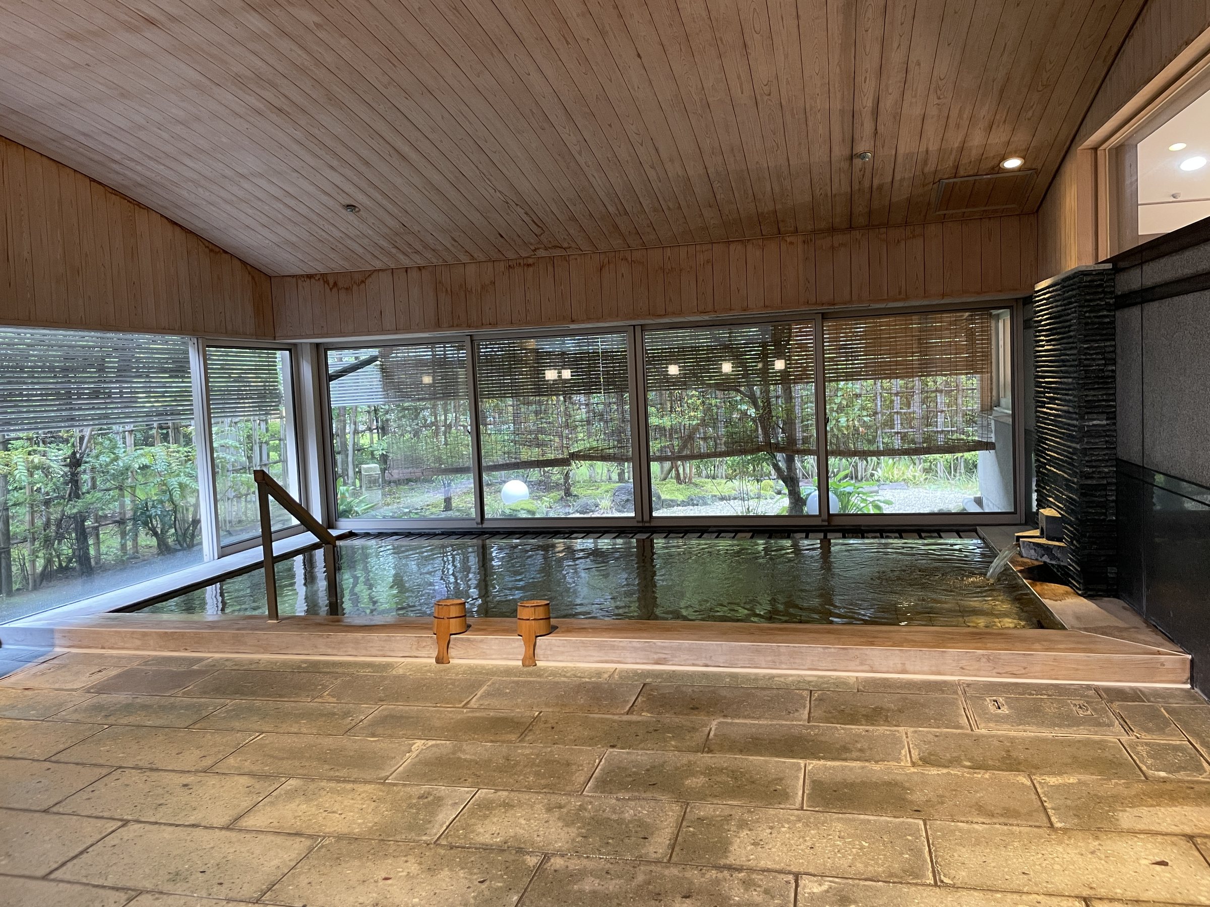 The large indoor bath, with greenery beyond the windows.