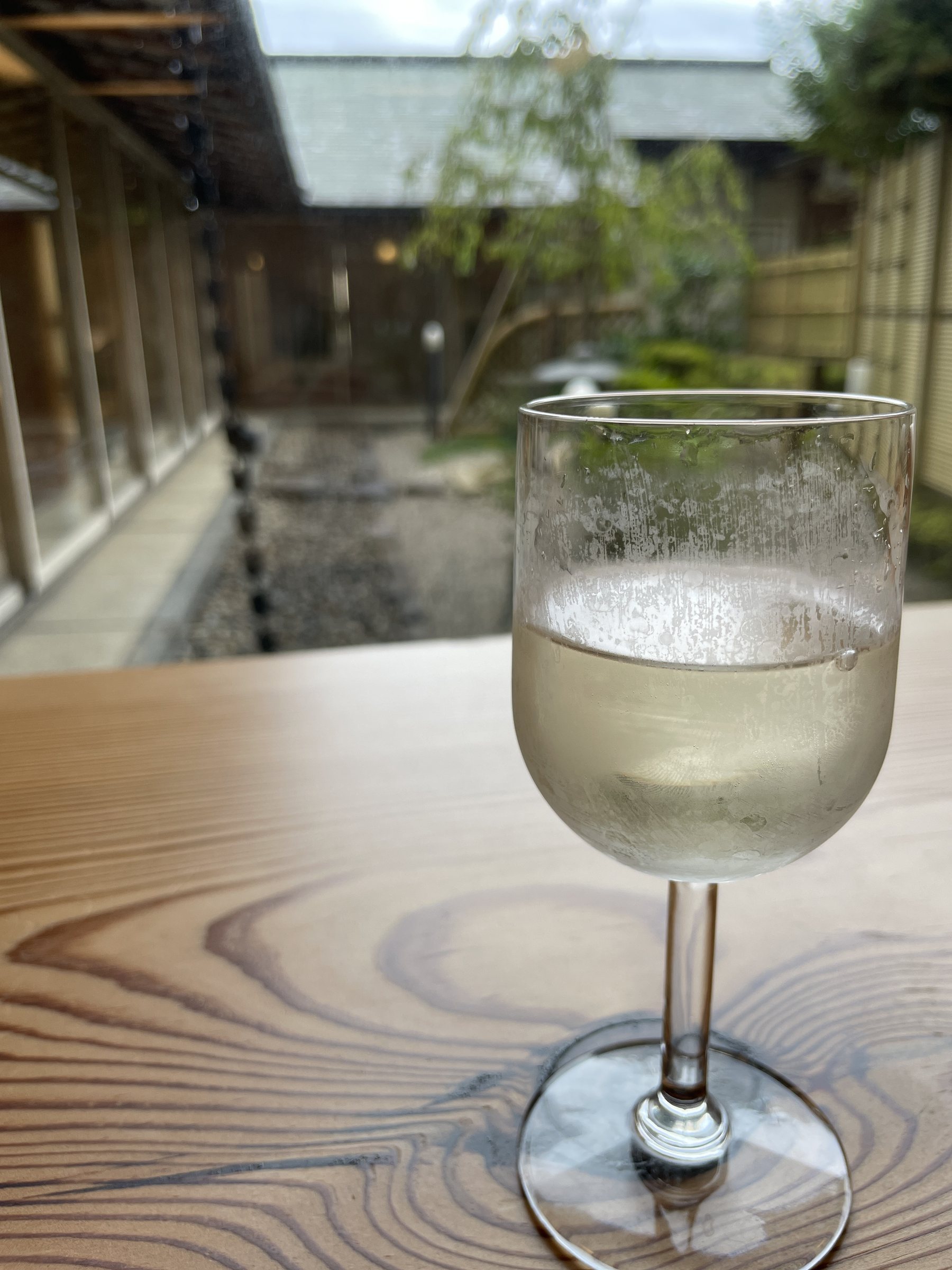 A glass of white wine, with a small garden beyond the window.
