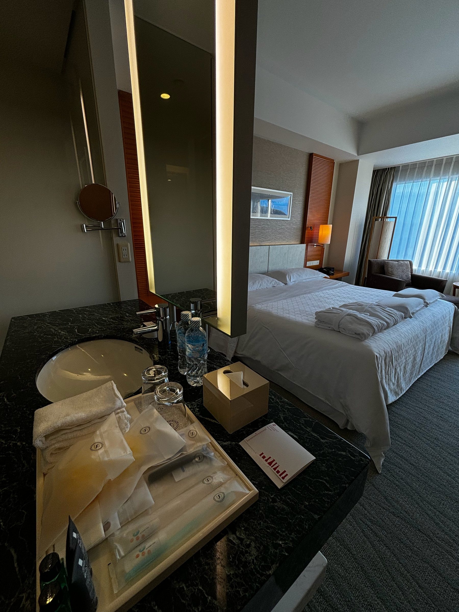 The open-plan room, with the basin facing the bed.