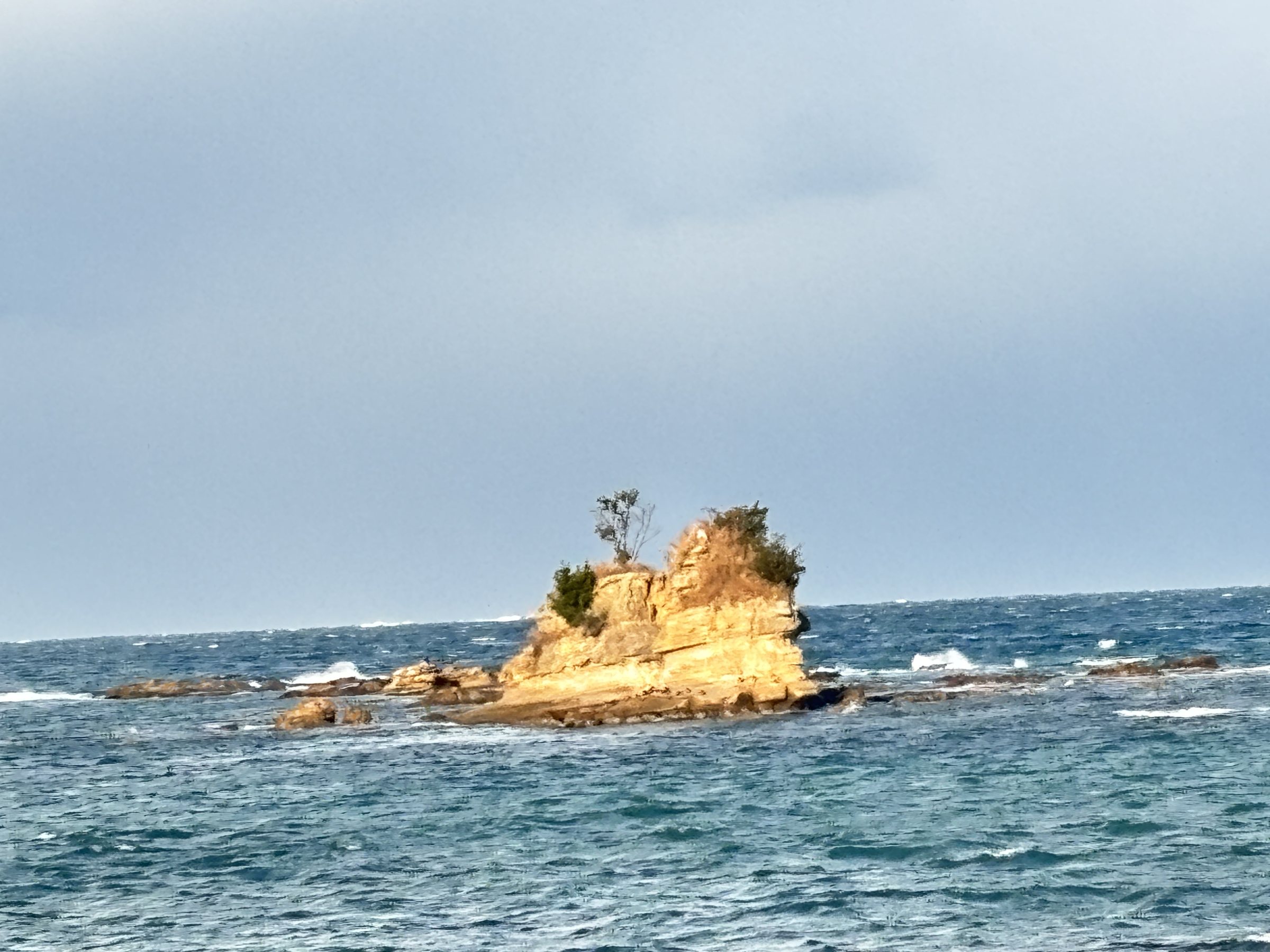 A rocky islet topped with pines in the waves just offshore.
