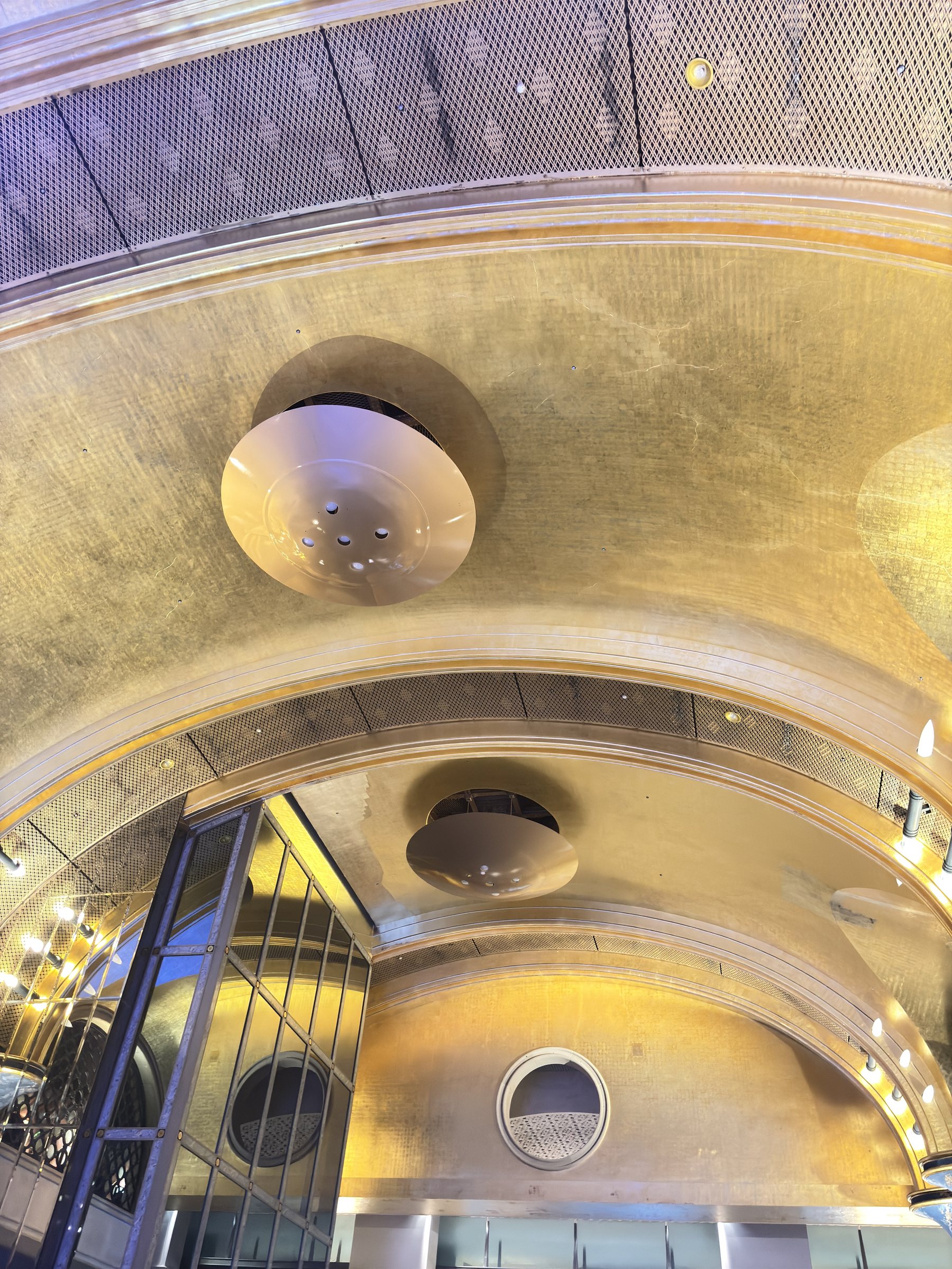 The gold-leaf vaulted ceiling.