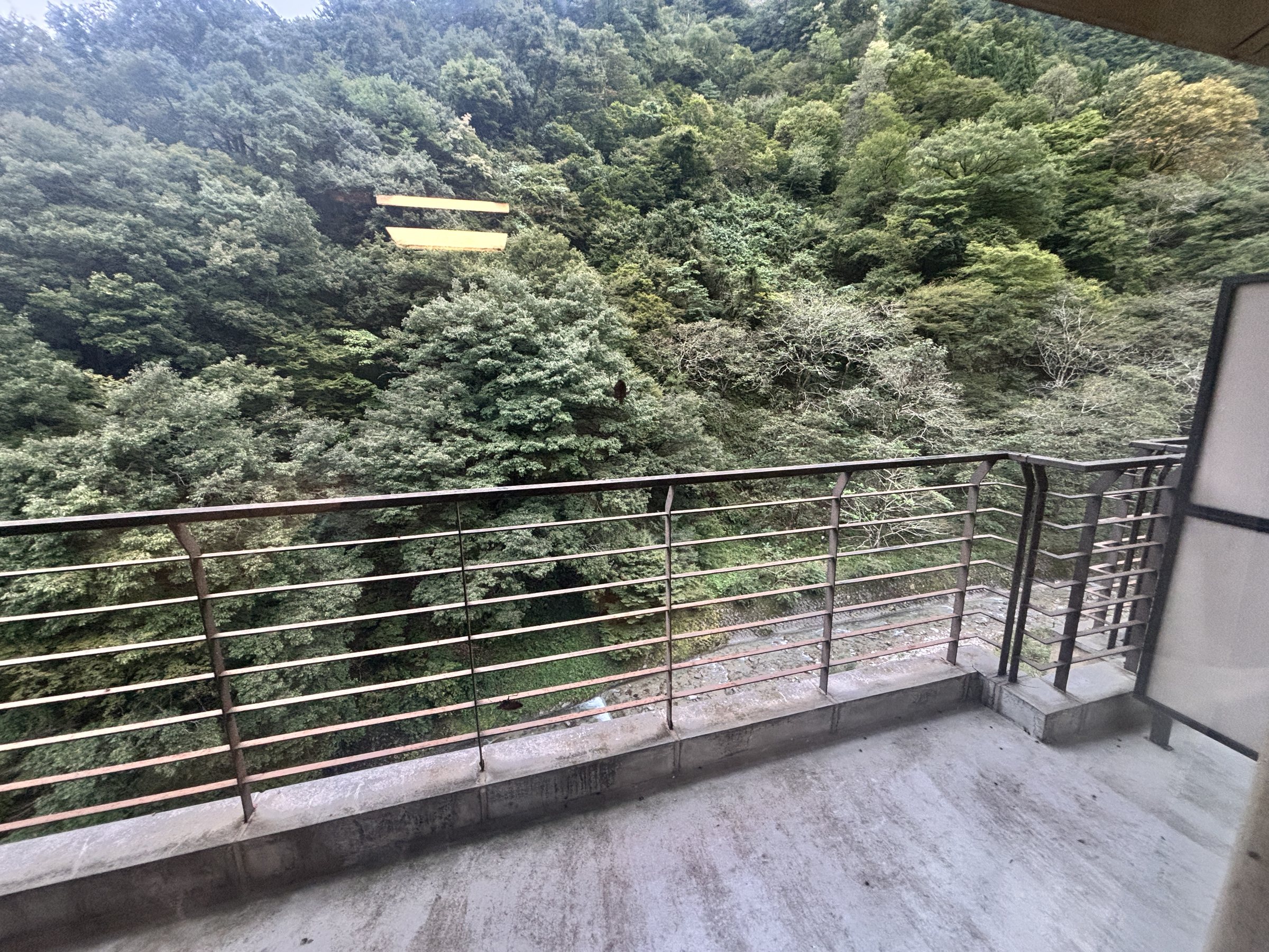 The balcony, looking out over the forested gorge.