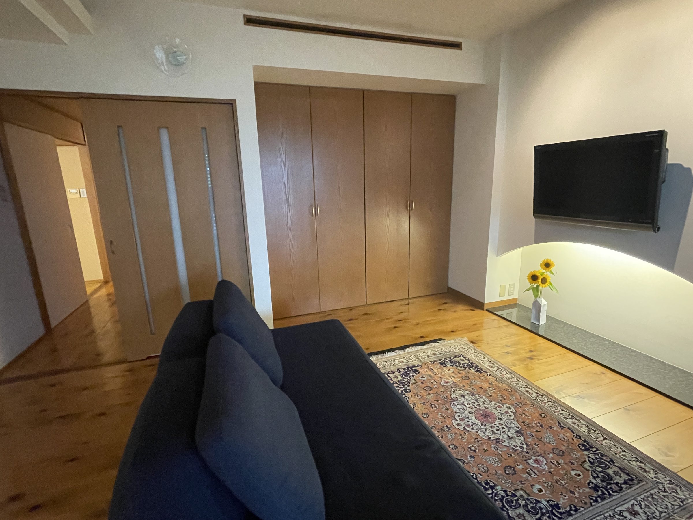 The sofa and a patterned rug on the wooden floor.
