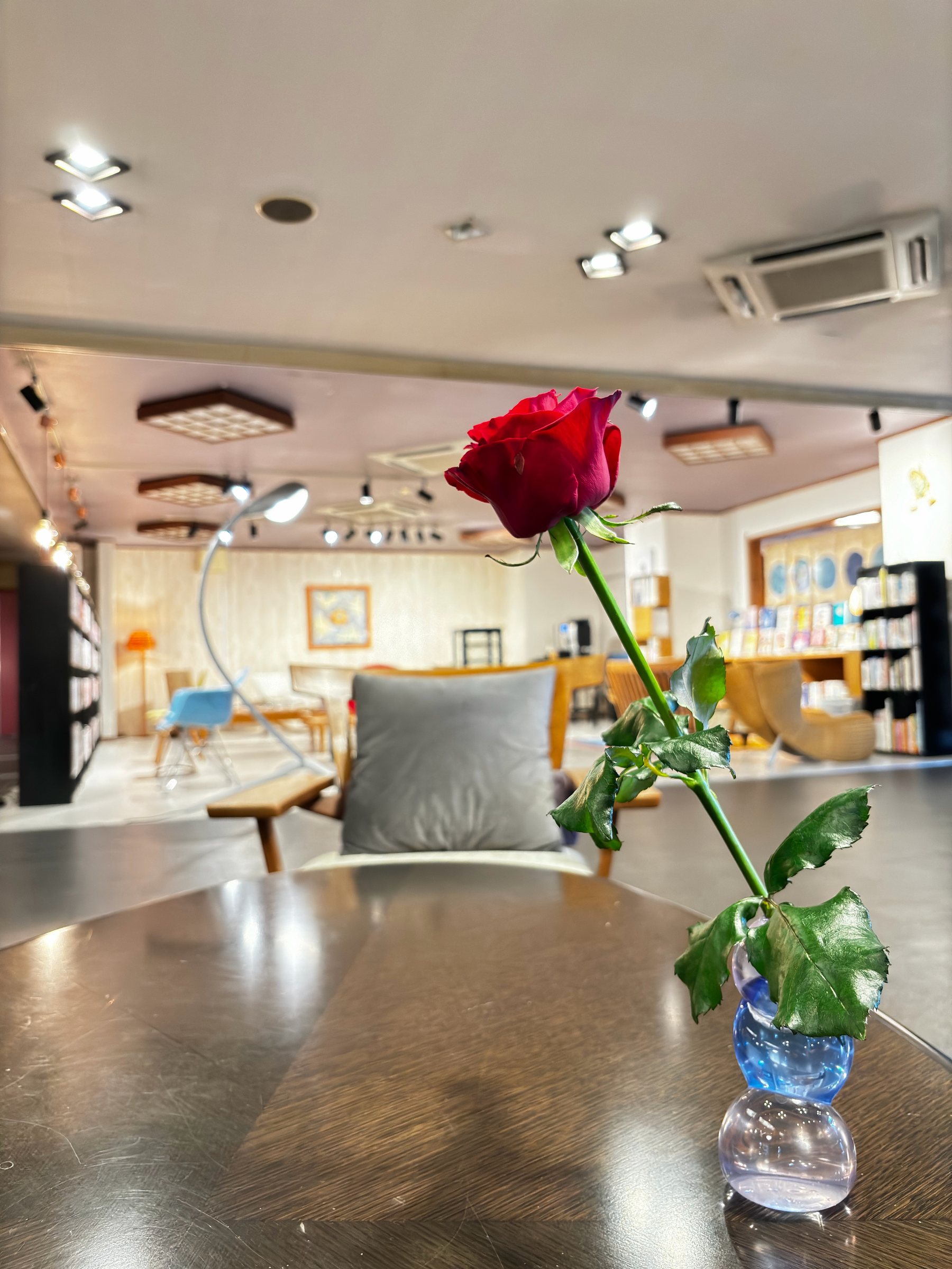 A single red rose on a lobby table, with the bookshelves in the background.