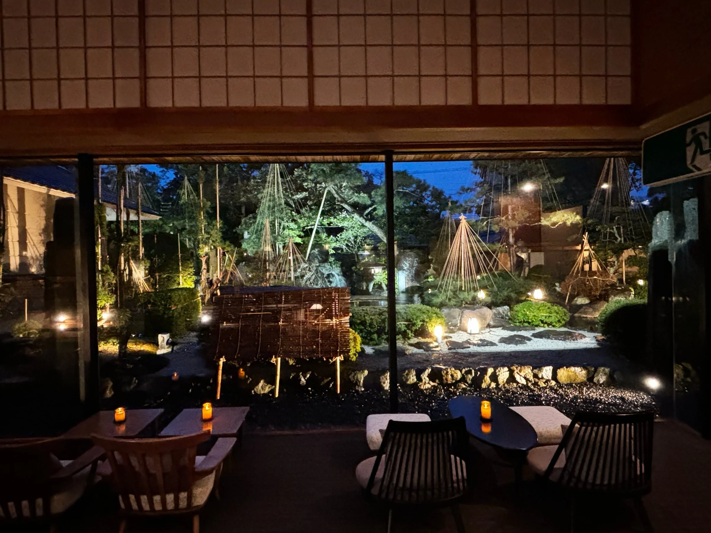 The lounge window onto the lit garden, its pines tied with winter snow ropes.