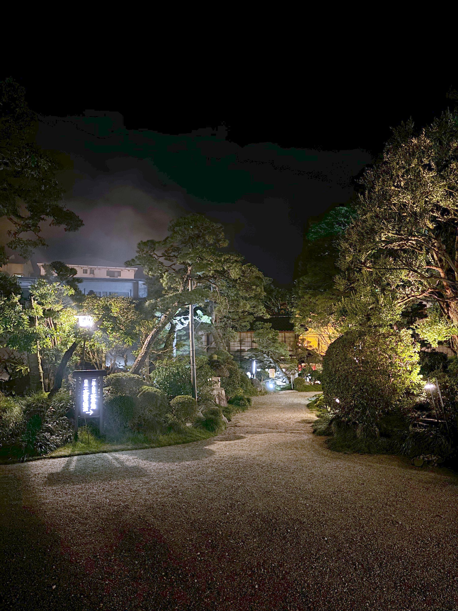 The garden path lit up at night.