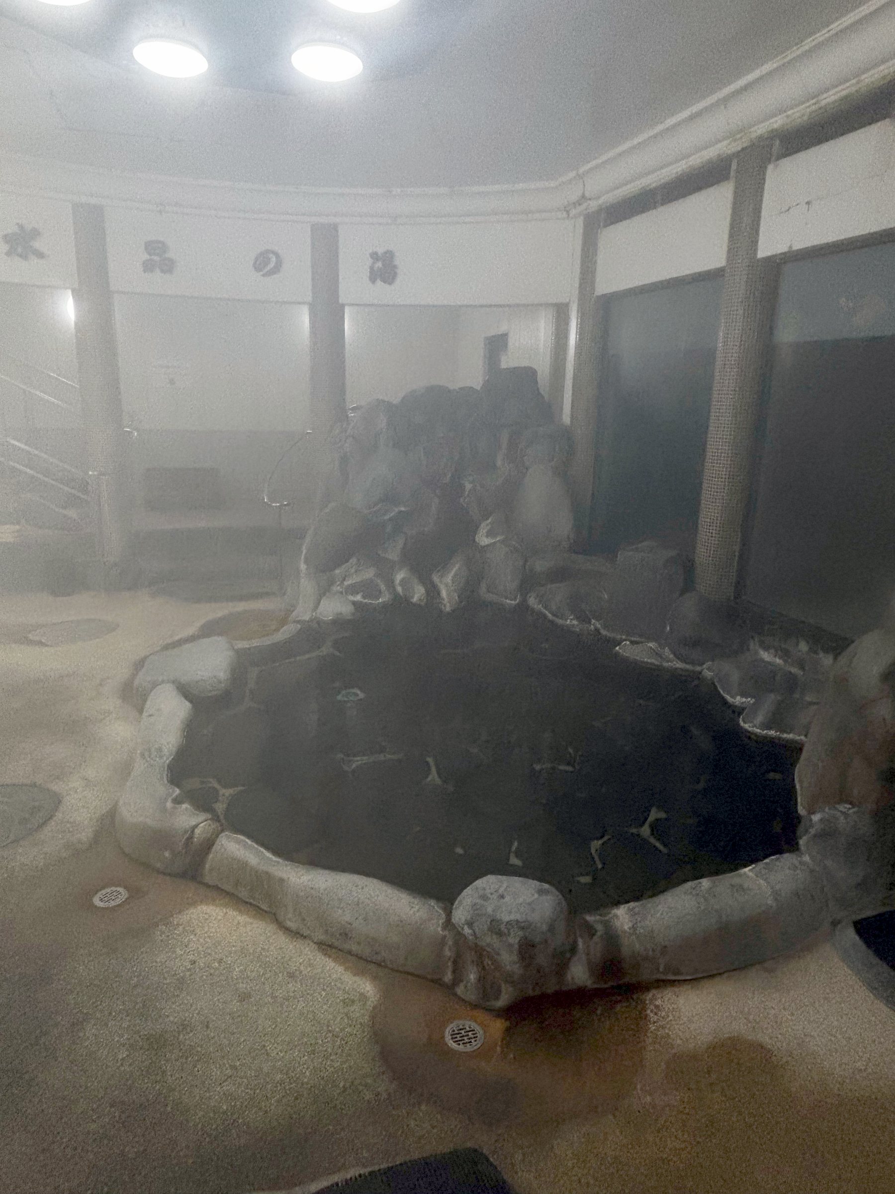 The indoor rock bath, ringed with natural stone.