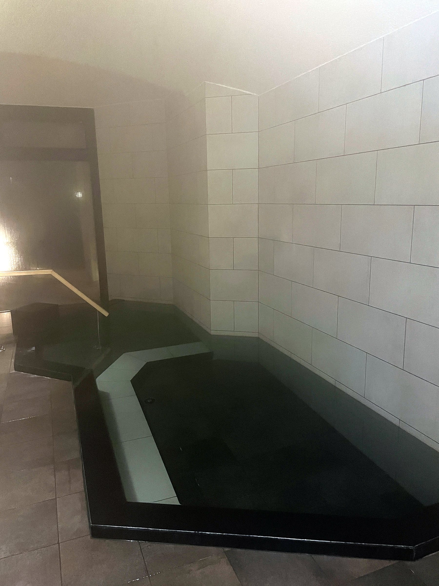 The indoor bath, wreathed in steam.
