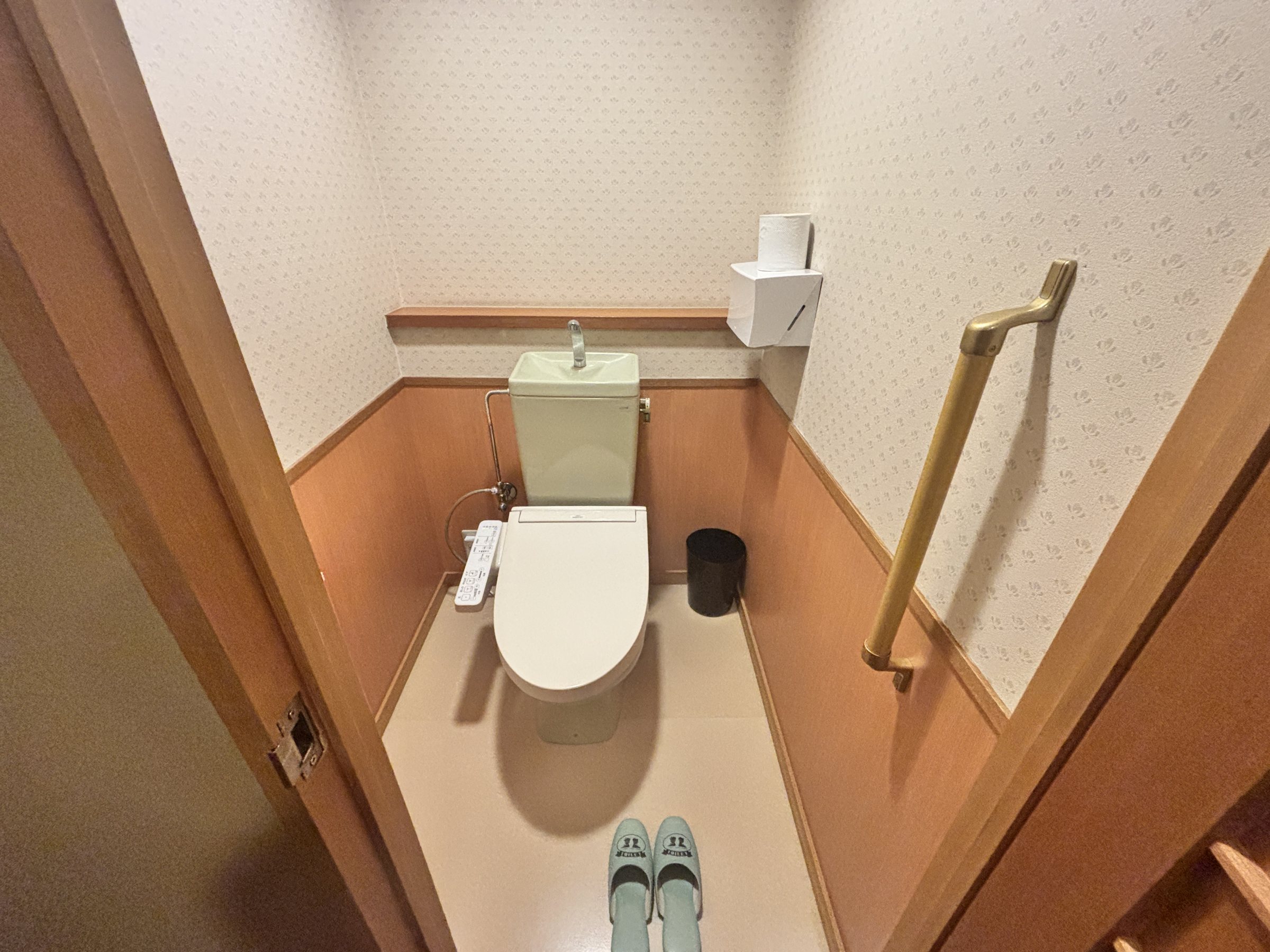 The toilet, with a handrail.