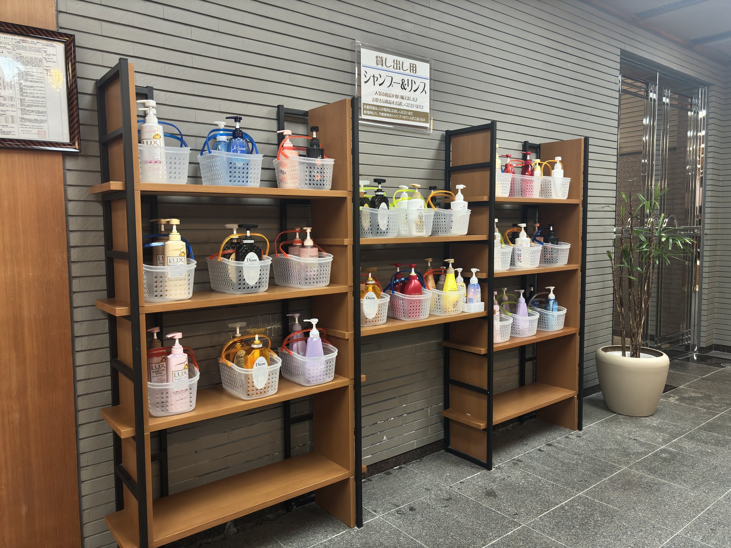 The shampoo bar: shelves of bottles to choose from.