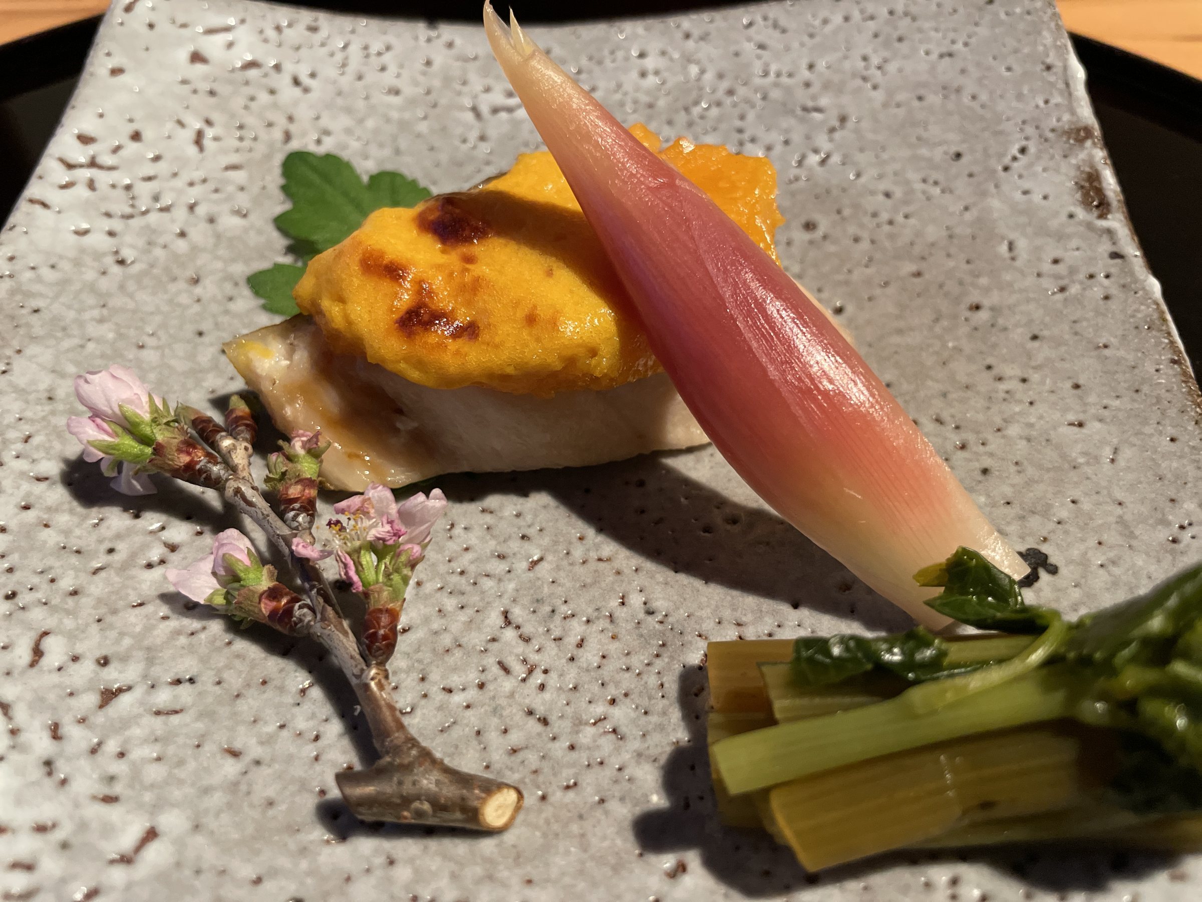 Saikyo-yaki under an egg-yolk glaze, with a pickled myoga shoot, stem wasabi greens and a sprig of cherry blossom.