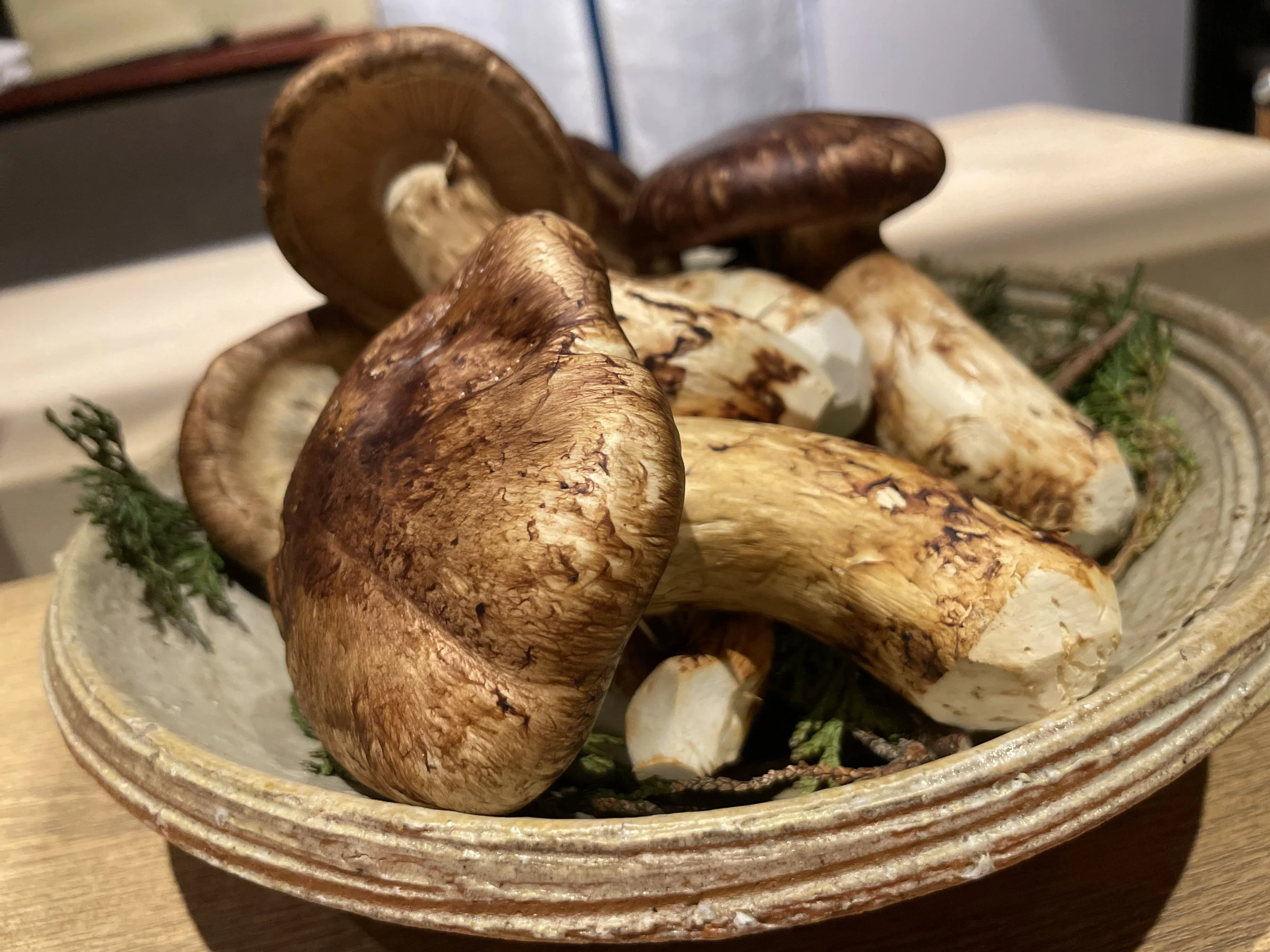 Matsutake mushrooms piled in a ceramic bowl on the counter.